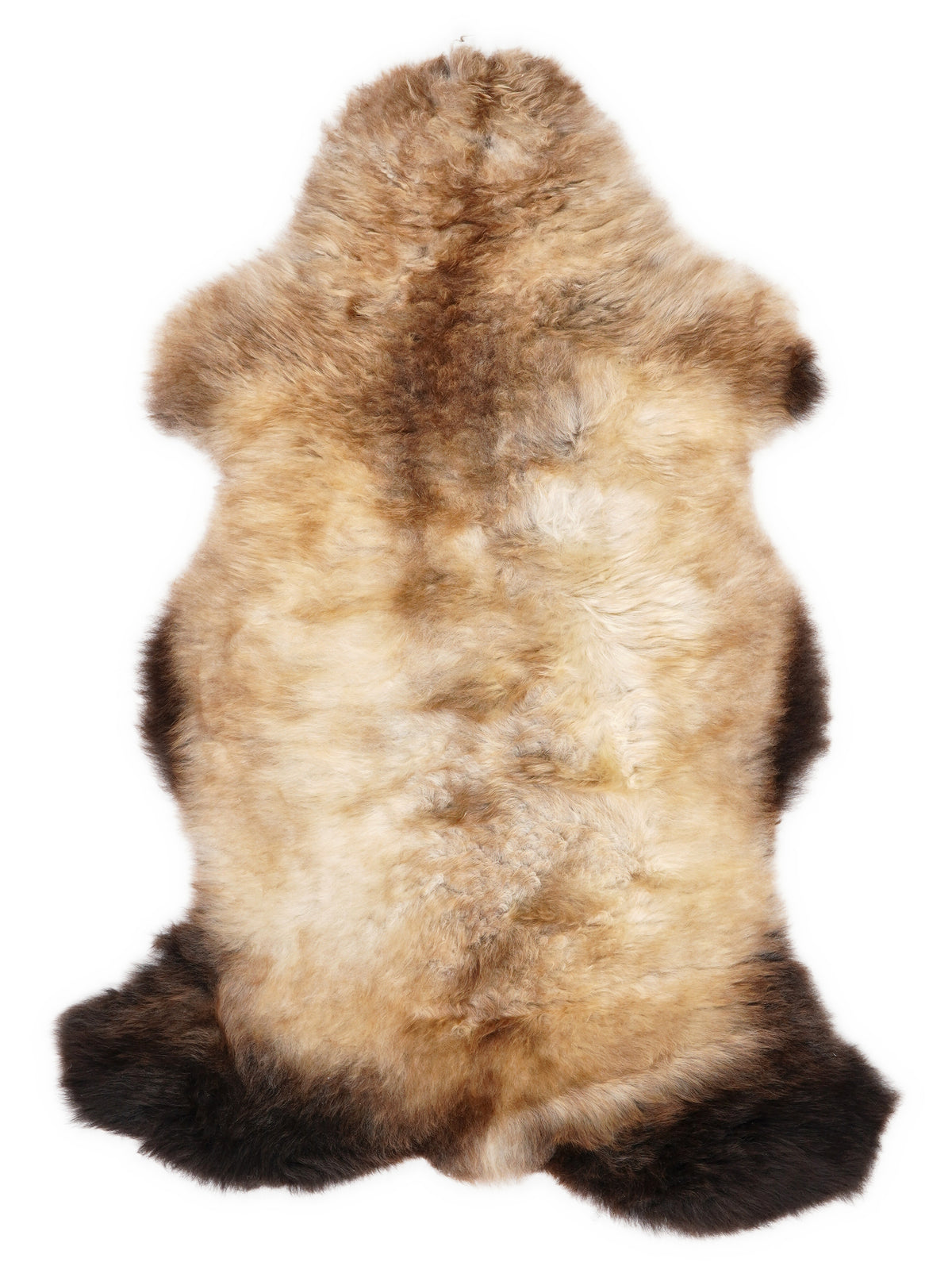 British multicolour sheepskin rug of about 100 × 60 cm, seen from above: the exact sheepskin you receive