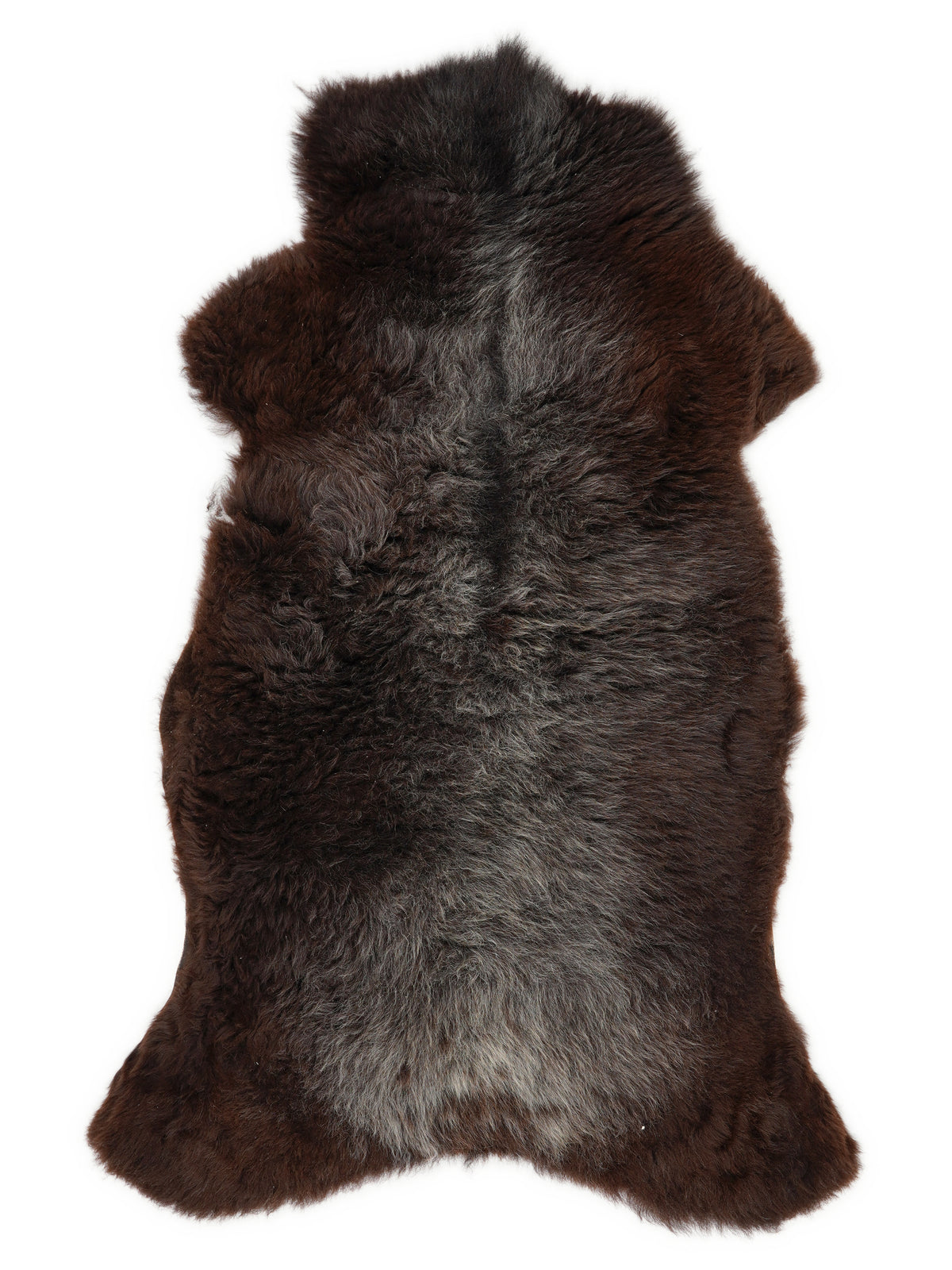 British multicolour sheepskin rug of about 125 × 65 cm, seen from above: the exact sheepskin you receive