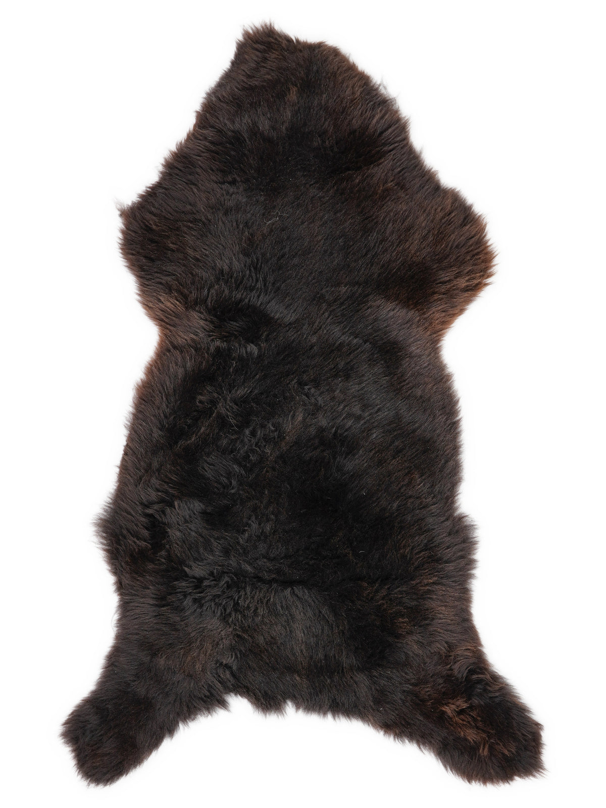 British multicolour sheepskin rug of about 120 × 50 cm, seen from above: the exact sheepskin you receive