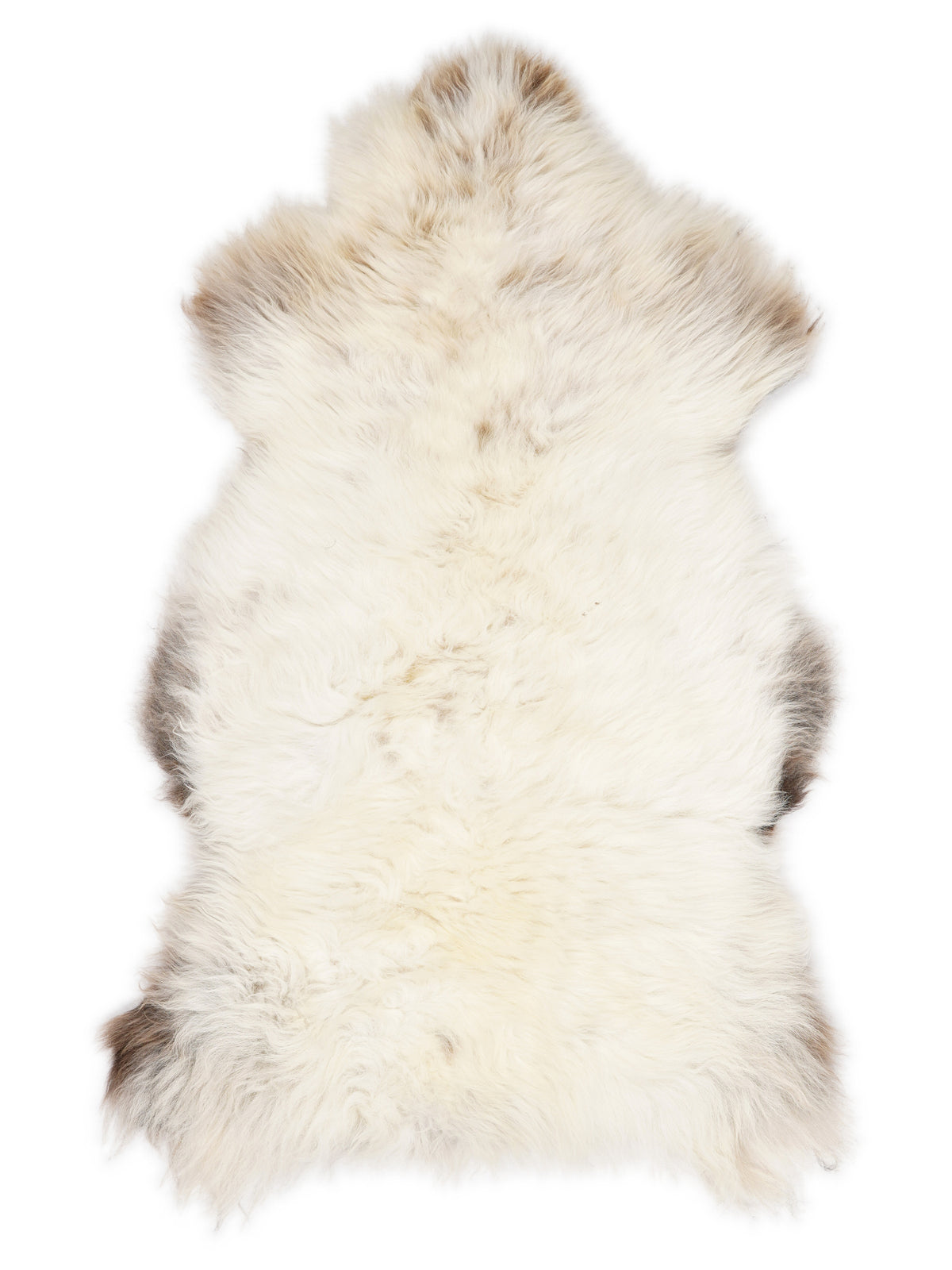 British multicolour sheepskin rug of about 130 × 70 cm, seen from above: the exact sheepskin you receive
