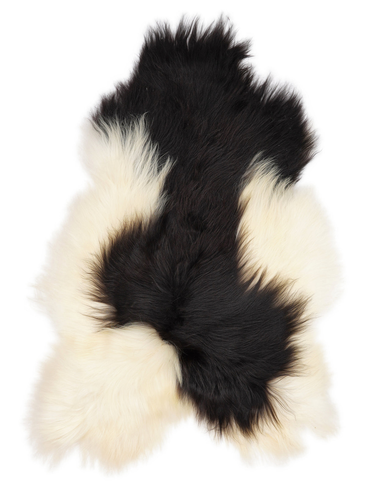Icelandic multicolour sheepskin rug of about 120 × 80 cm, seen from above: the exact sheepskin you receive