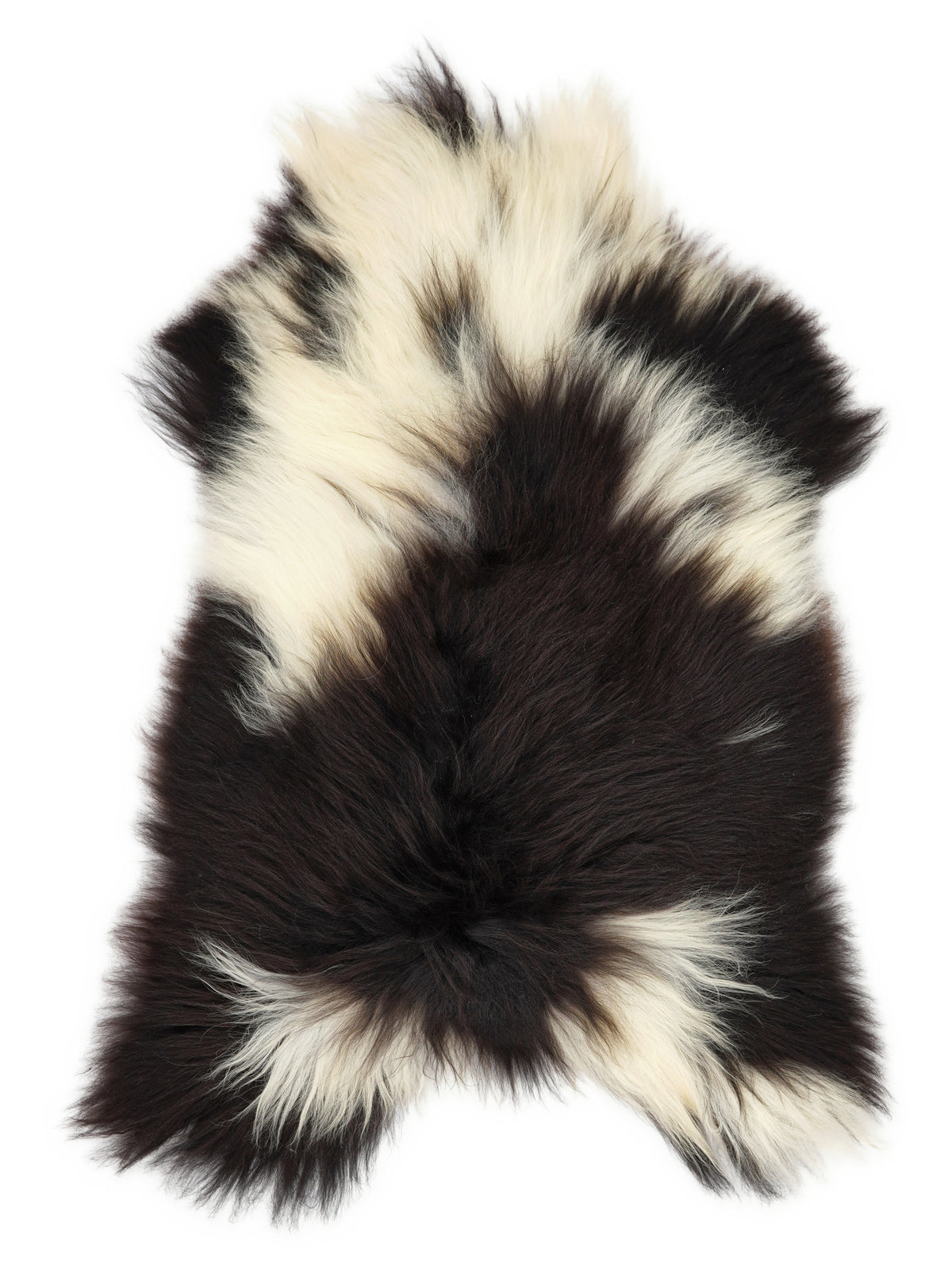 Icelandic multicolour sheepskin rug of about 120 × 70 cm, seen from above: the exact sheepskin you receive