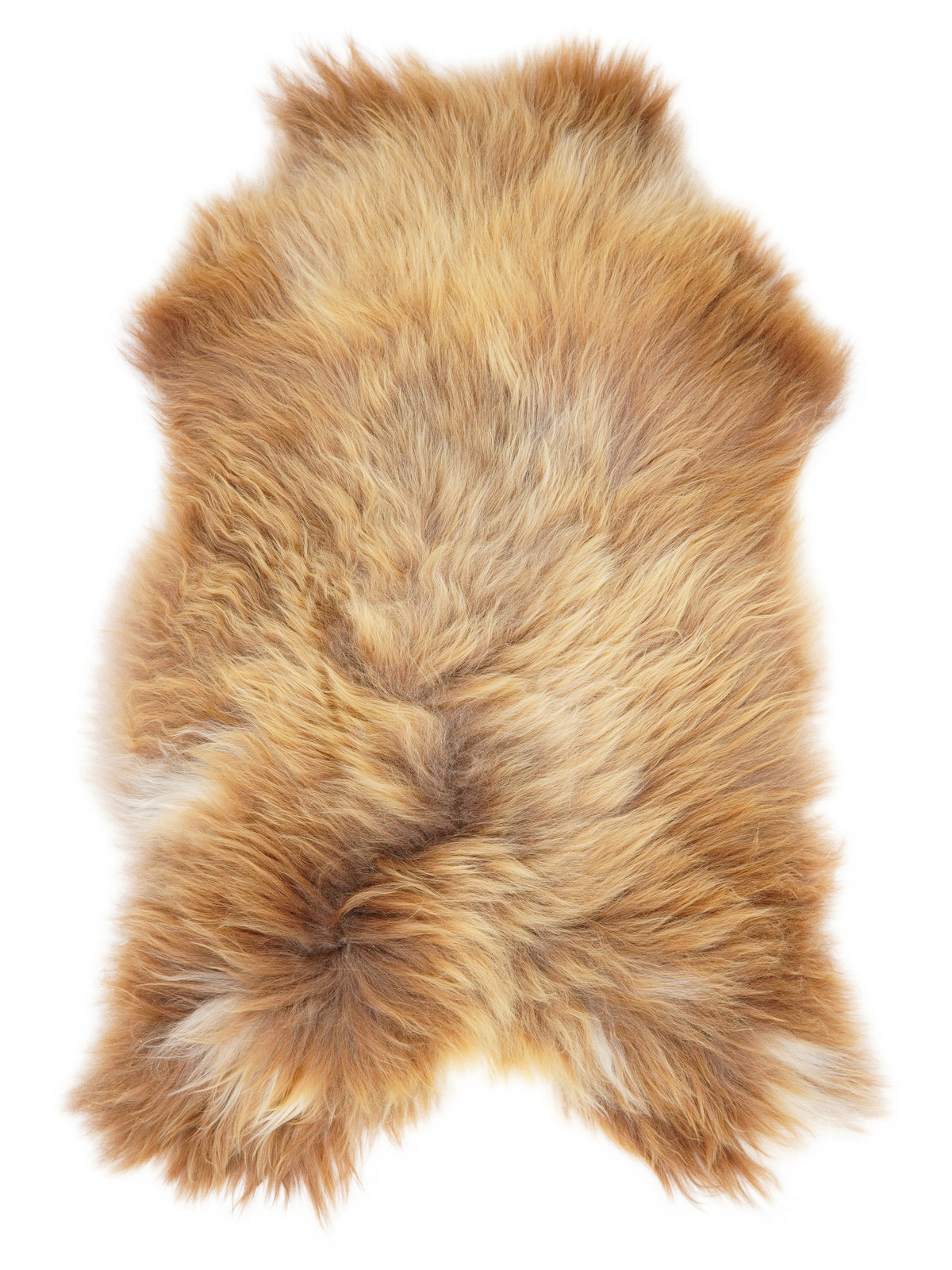 Icelandic multicolour sheepskin rug of about 120 × 75 cm, seen from above: the exact sheepskin you receive