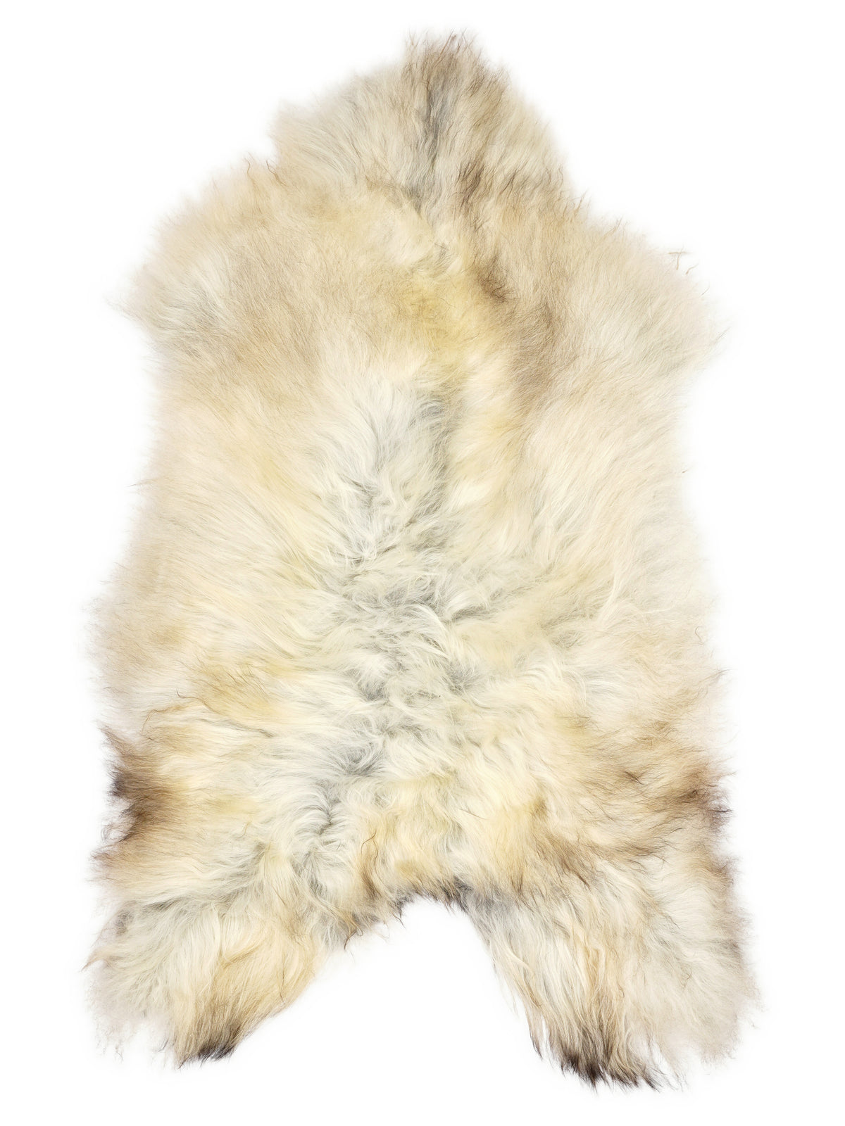 Grey Icelandic sheepskin rug of about 125 × 70 cm, seen from above: the exact sheepskin you receive