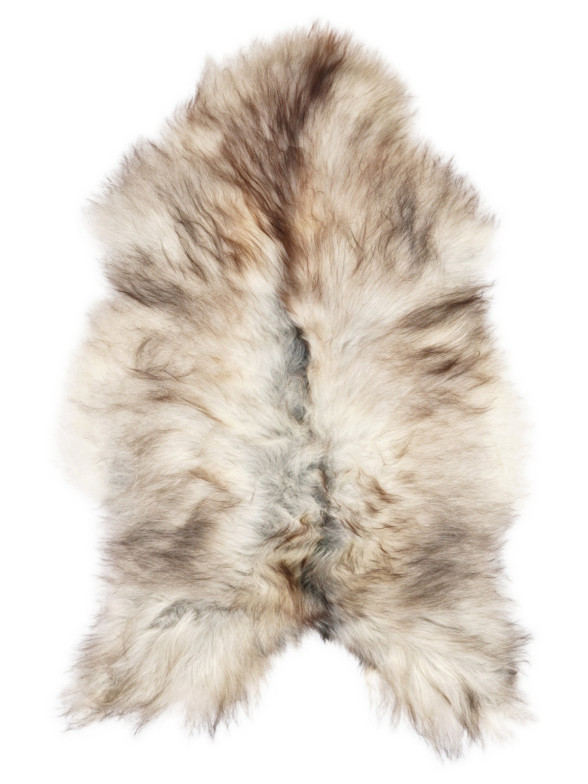 Grey Icelandic sheepskin rug of about 120 × 70 cm, seen from above: the exact sheepskin you receive