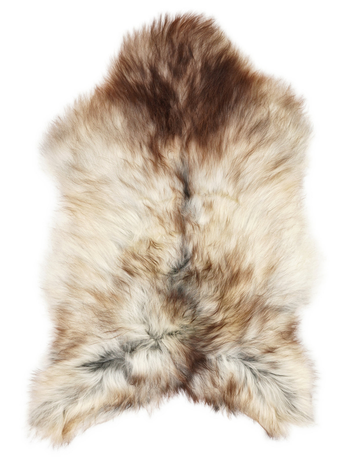 Grey Icelandic sheepskin rug of about 120 × 75 cm, seen from above: the exact sheepskin you receive
