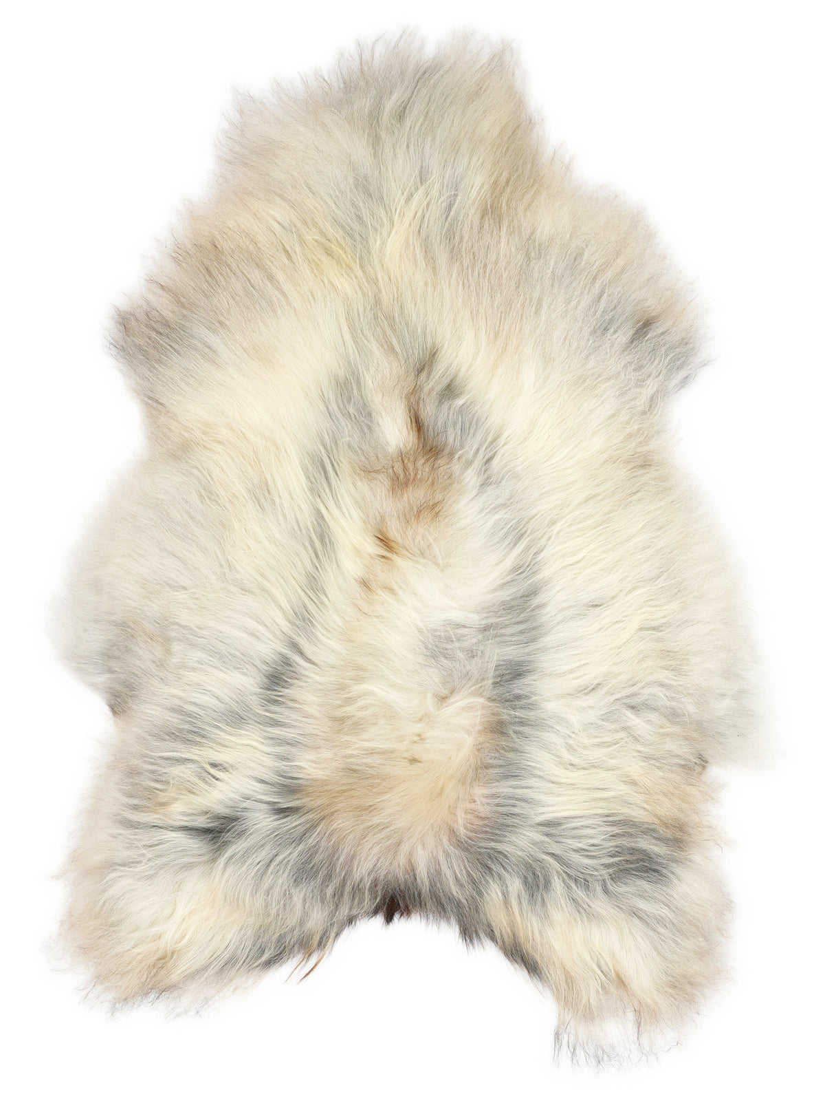 Grey Icelandic sheepskin rug of about 130 × 80 cm, seen from above: the exact sheepskin you receive