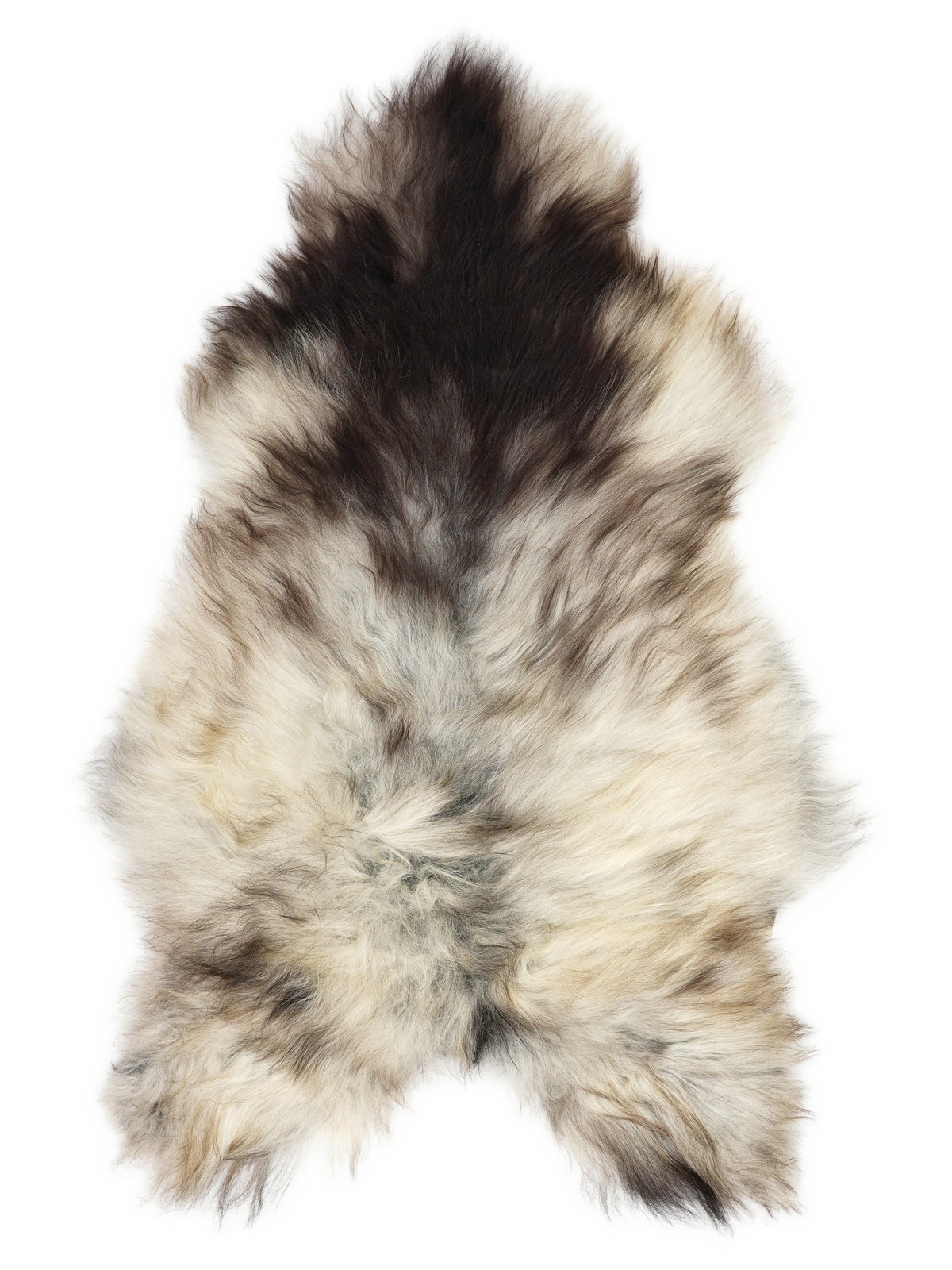 Grey Icelandic sheepskin rug of about 120 × 75 cm, seen from above: the exact sheepskin you receive