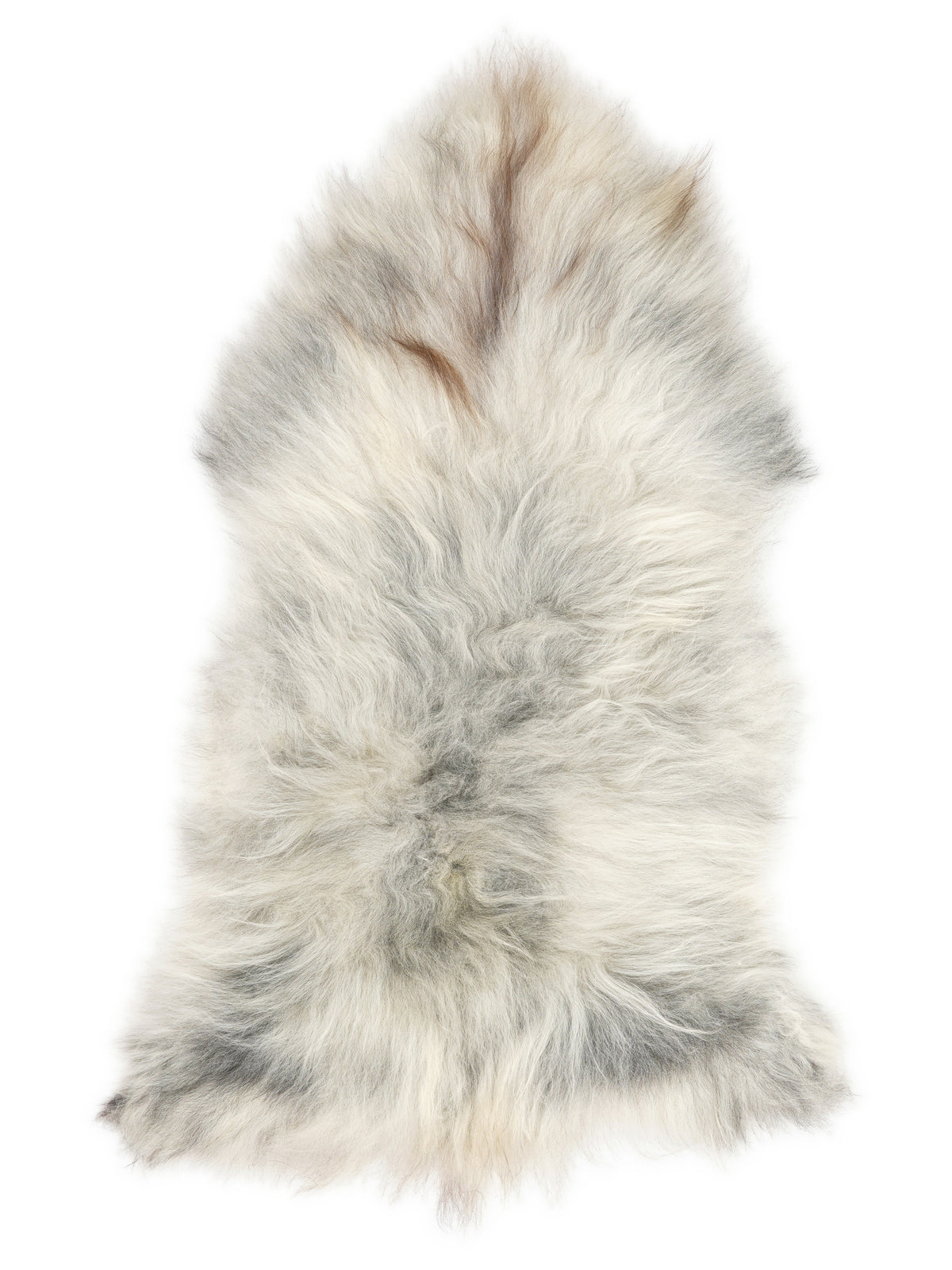 Grey Icelandic sheepskin rug of about 130 × 70 cm, seen from above: the exact sheepskin you receive
