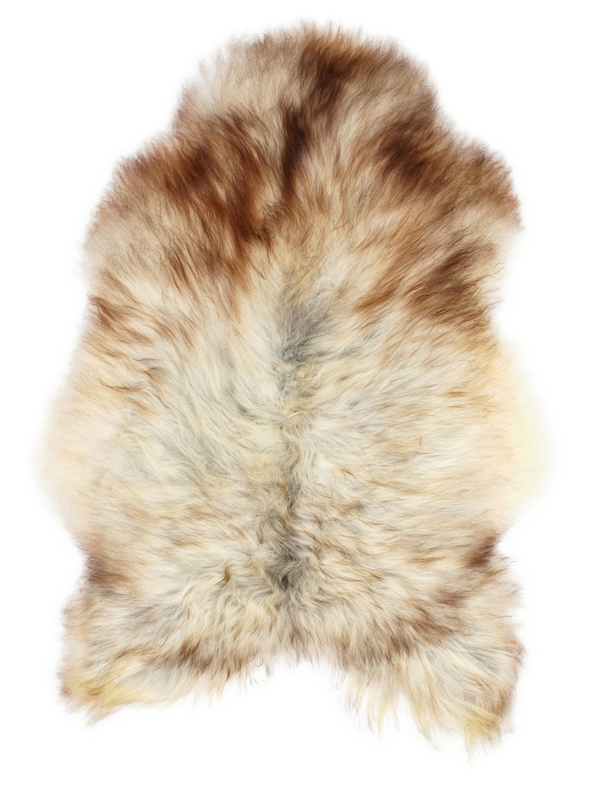 Grey Icelandic sheepskin rug of about 125 × 85 cm, seen from above: the exact sheepskin you receive