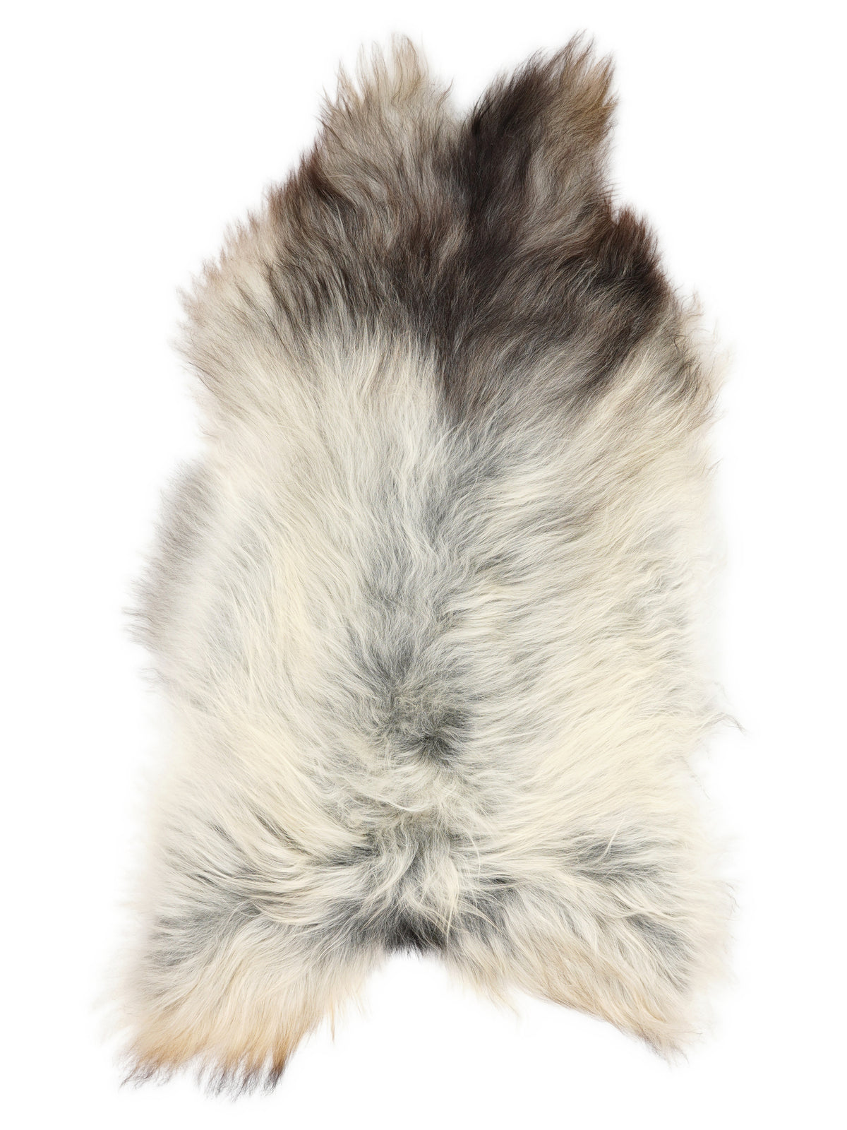 Grey Icelandic sheepskin rug of about 120 × 70 cm, seen from above: the exact sheepskin you receive