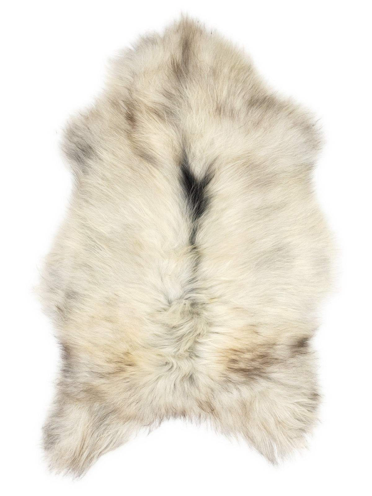 Grey Icelandic sheepskin rug of about 110 × 70 cm, seen from above: the exact sheepskin you receive