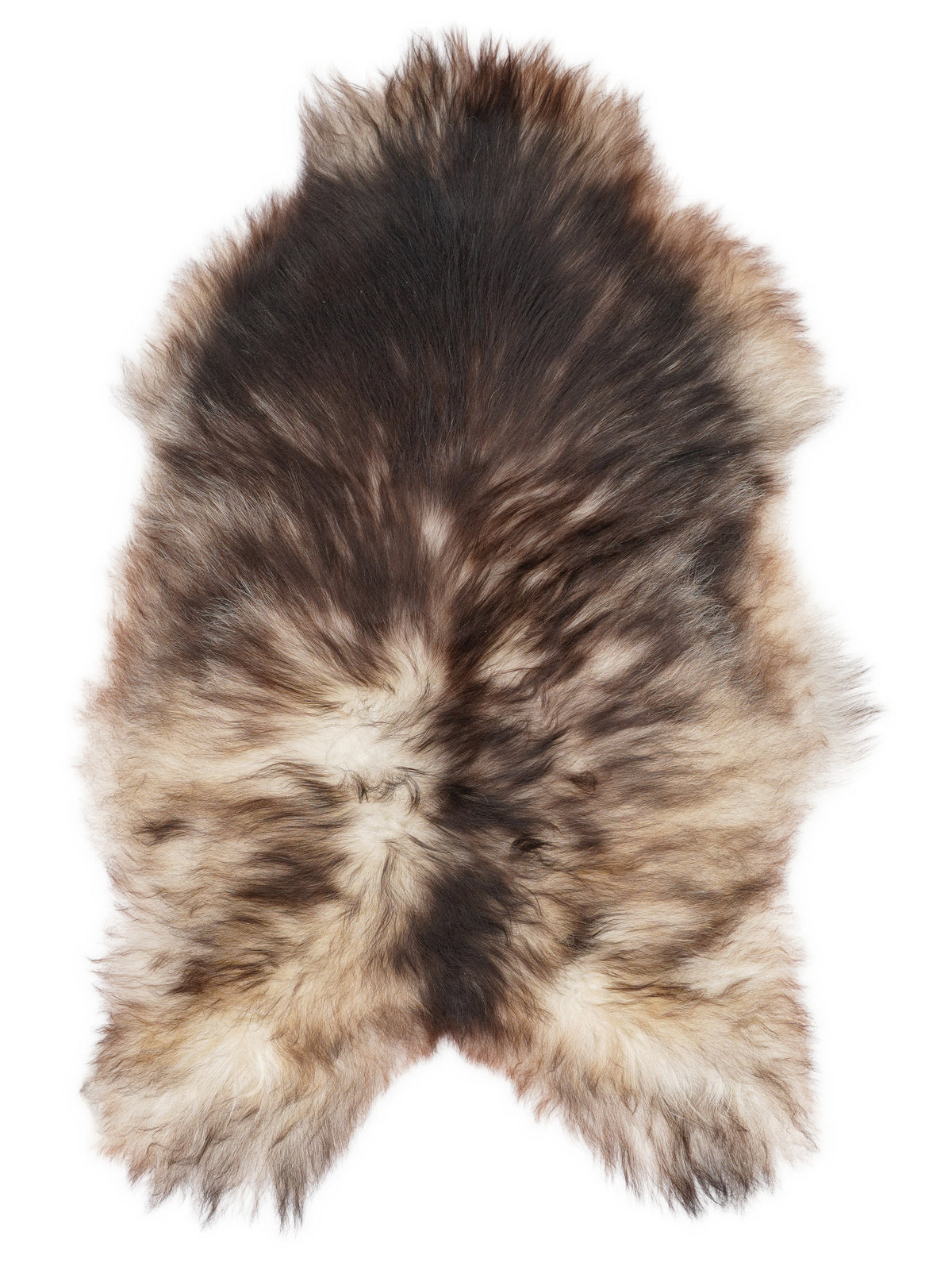 Grey Icelandic sheepskin rug of about 110 × 75 cm, seen from above: the exact sheepskin you receive