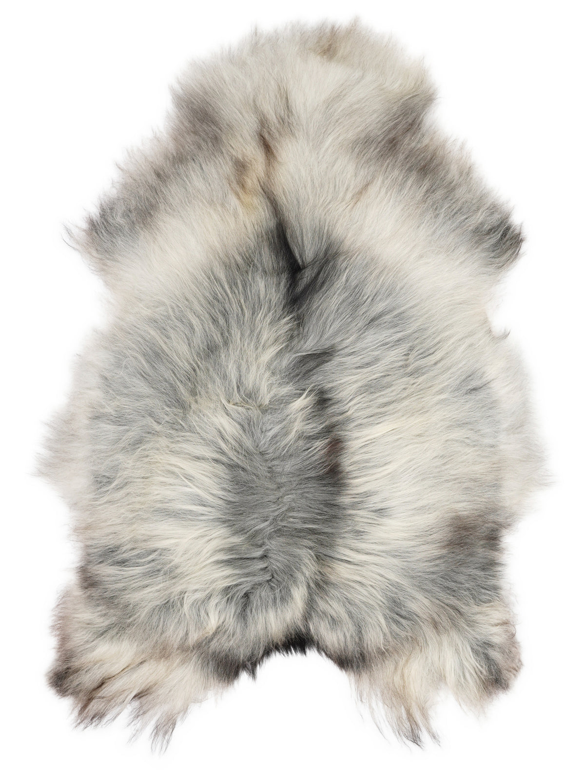 Grey Icelandic sheepskin rug of about 120 × 80 cm, seen from above: the exact sheepskin you receive
