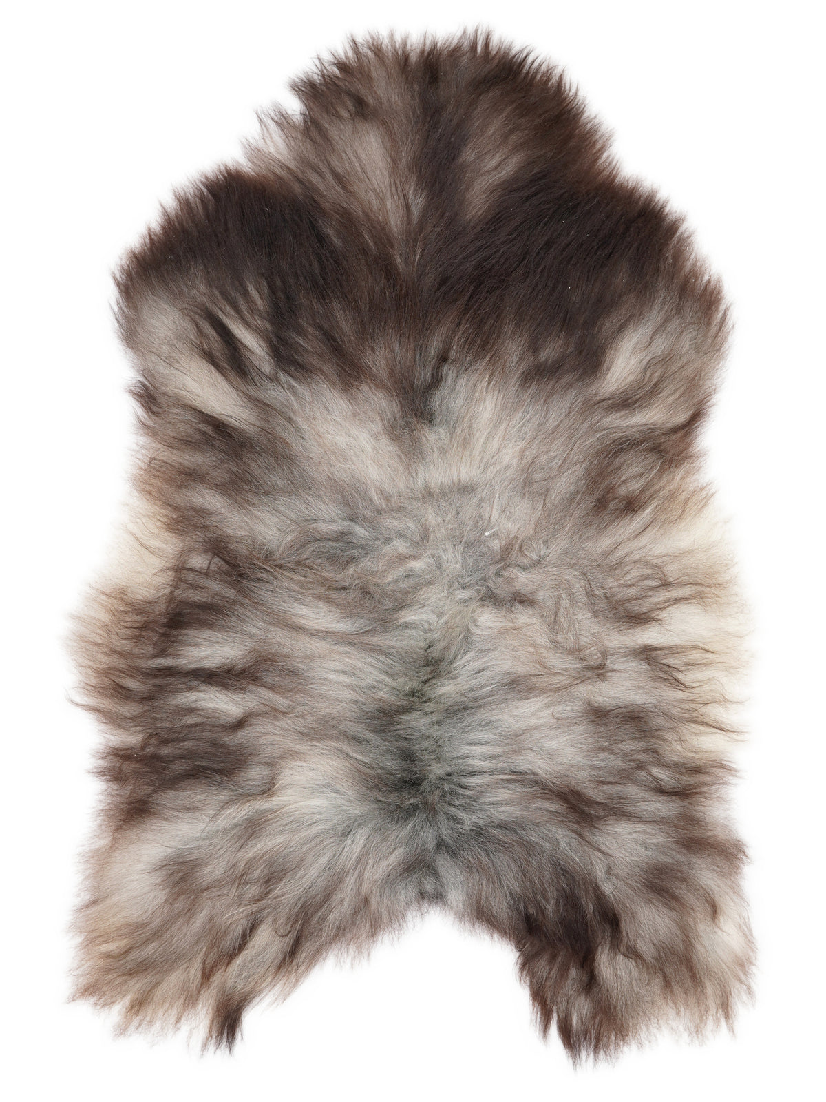 Grey Icelandic sheepskin rug of about 130 × 85 cm, seen from above: the exact sheepskin you receive