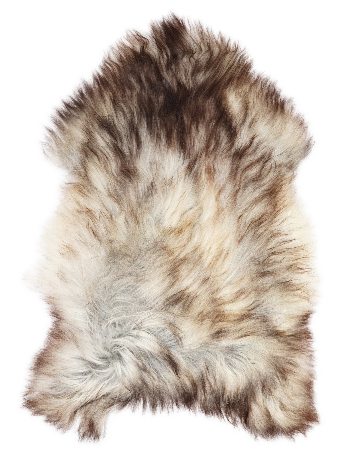Grey Icelandic sheepskin rug of about 130 × 90 cm, seen from above: the exact sheepskin you receive