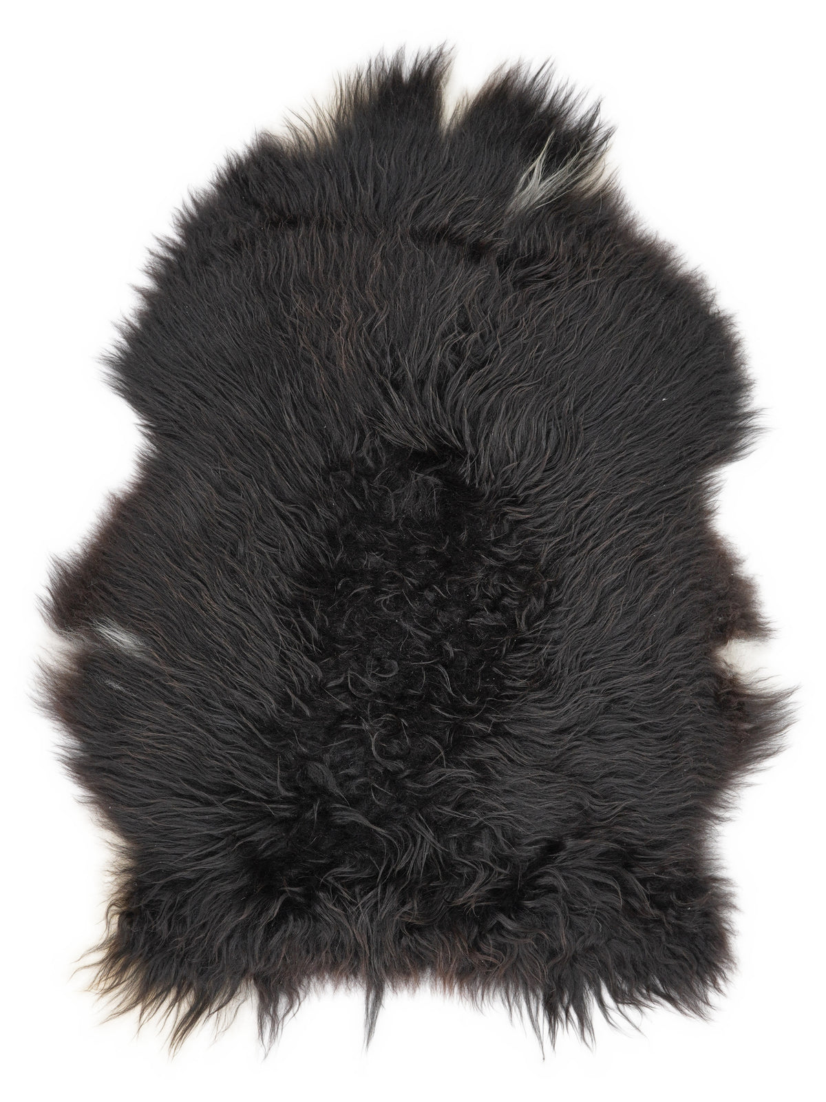 Icelandic multicolour sheepskin rug of about 110 × 80 cm, seen from above: the exact sheepskin you receive