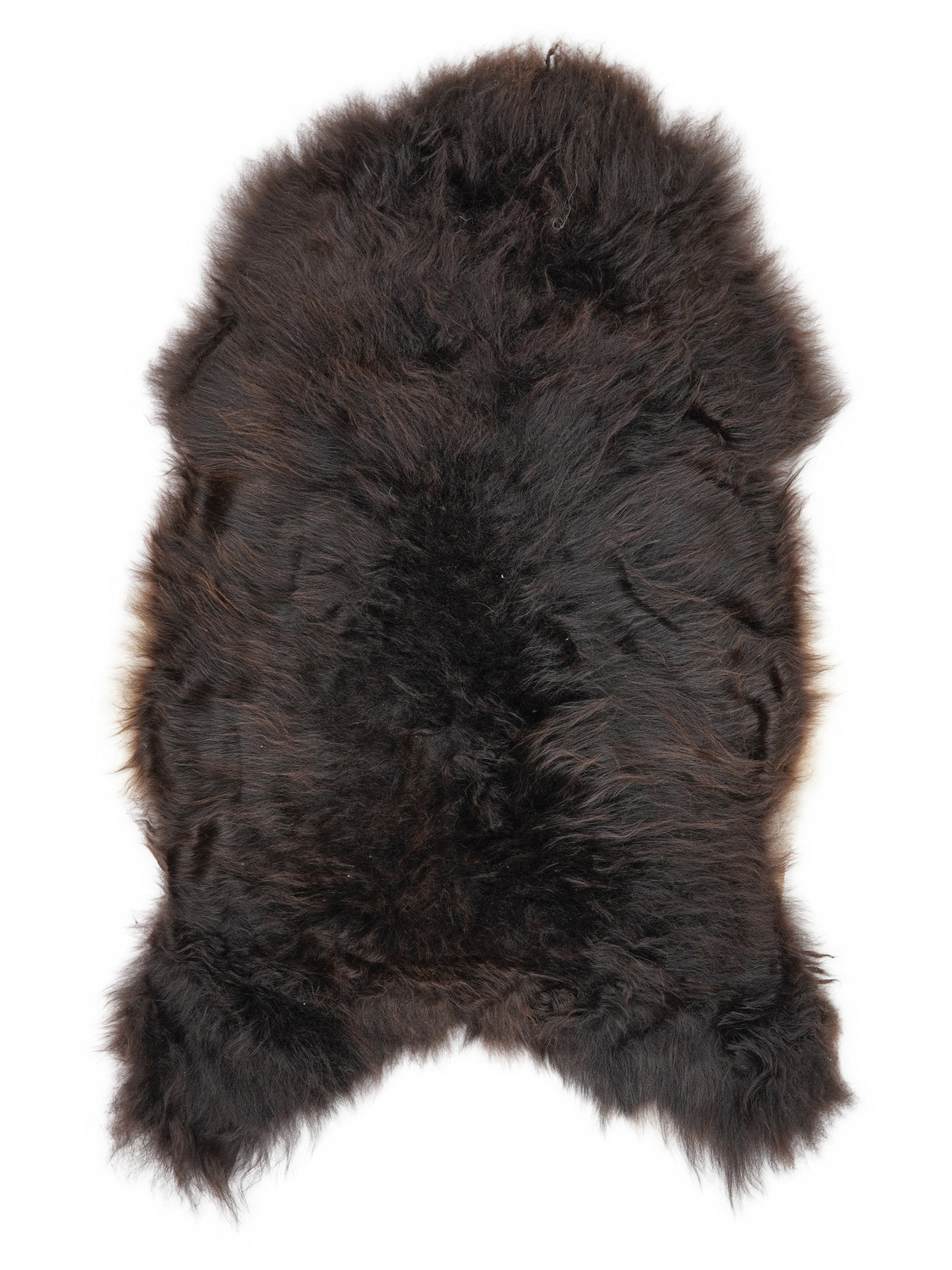 Icelandic multicolour sheepskin rug of about 110 × 75 cm, seen from above: the exact sheepskin you receive
