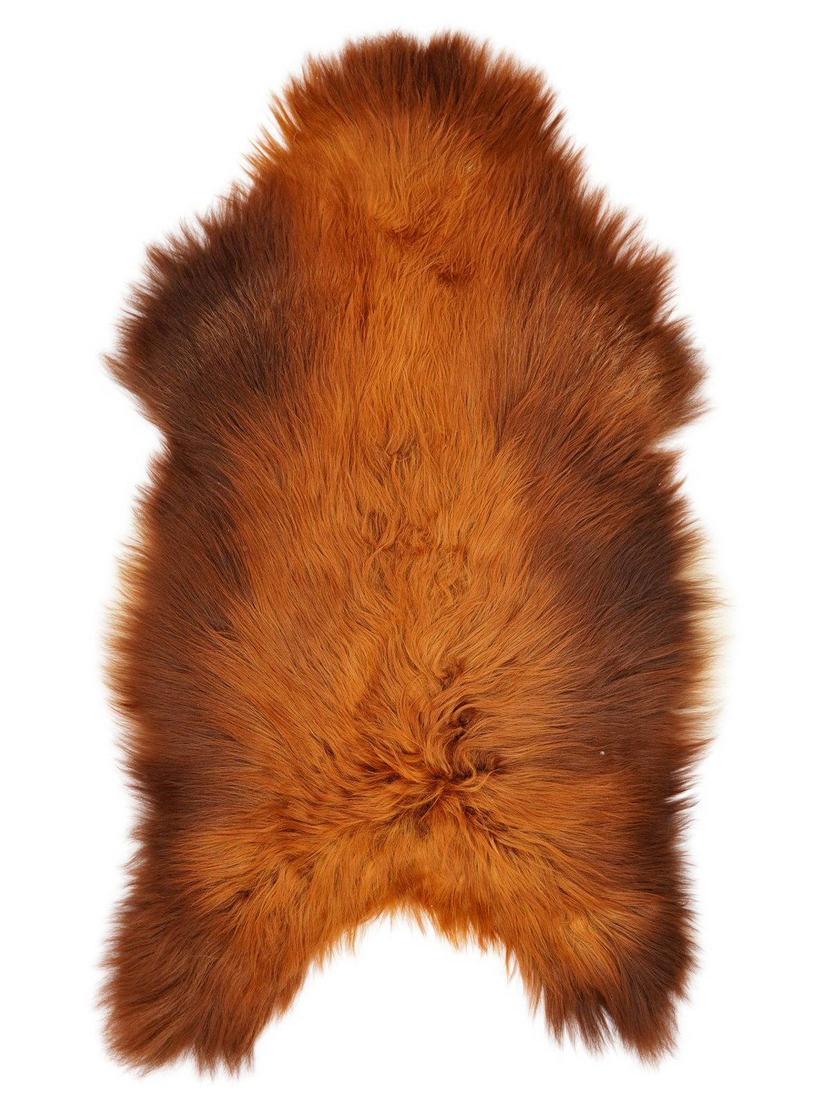 Icelandic Rusty sheepskin rug of about 125 × 75 cm, seen from above: the exact sheepskin you receive