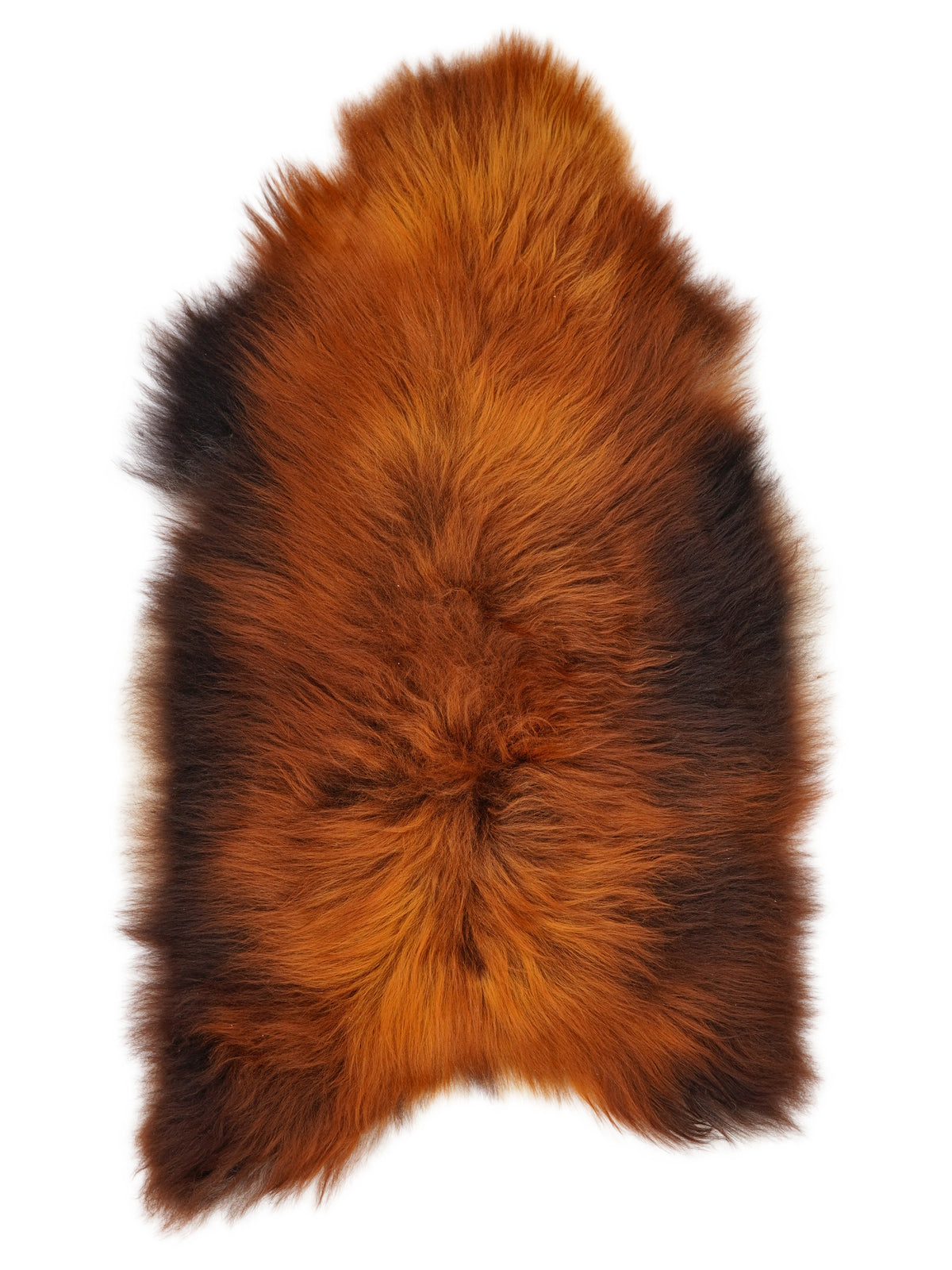 Icelandic Rusty sheepskin rug of about 120 × 75 cm, seen from above: the exact sheepskin you receive