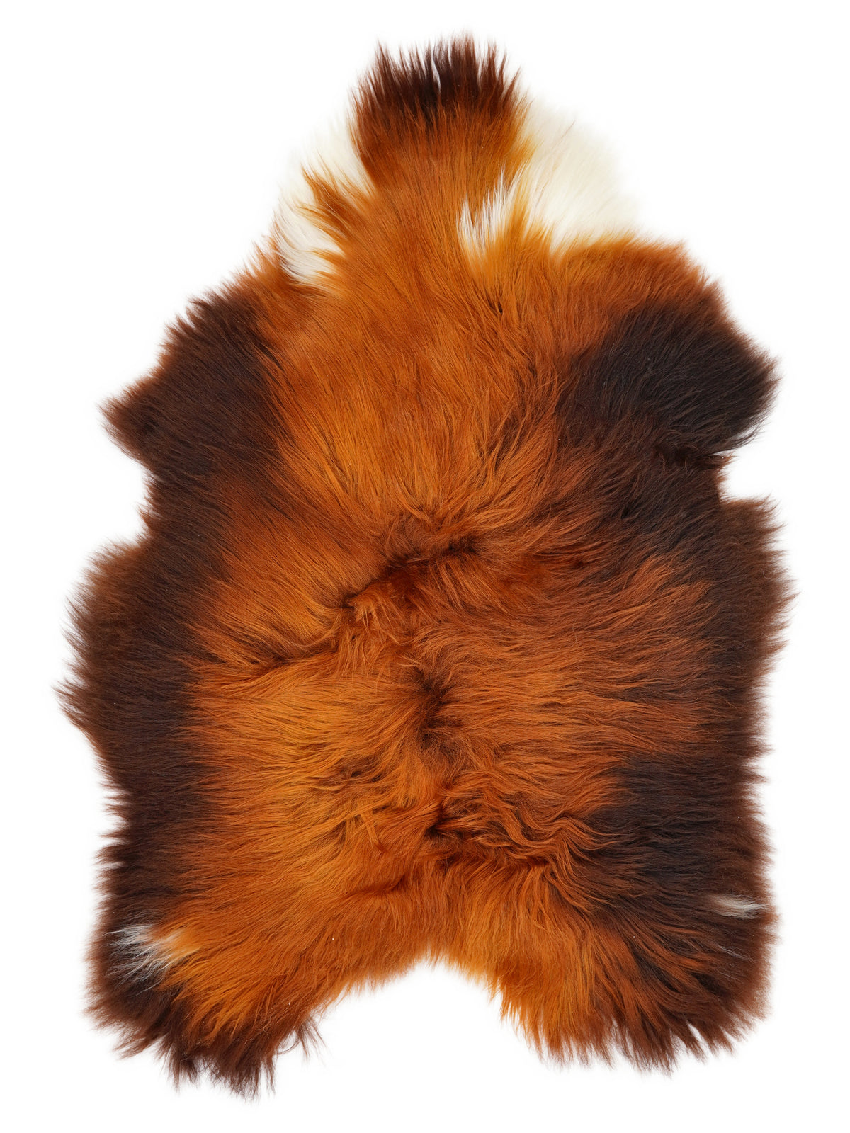 Icelandic Rusty sheepskin rug of about 120 × 80 cm, seen from above: the exact sheepskin you receive