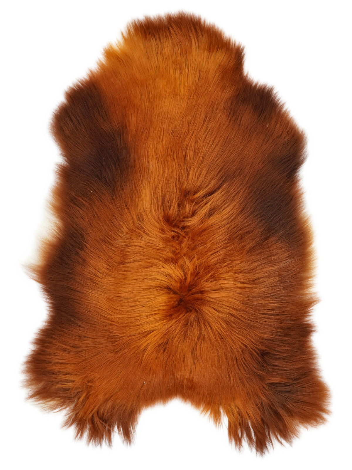 Icelandic Rusty sheepskin rug of about 130 × 85 cm, seen from above: the exact sheepskin you receive