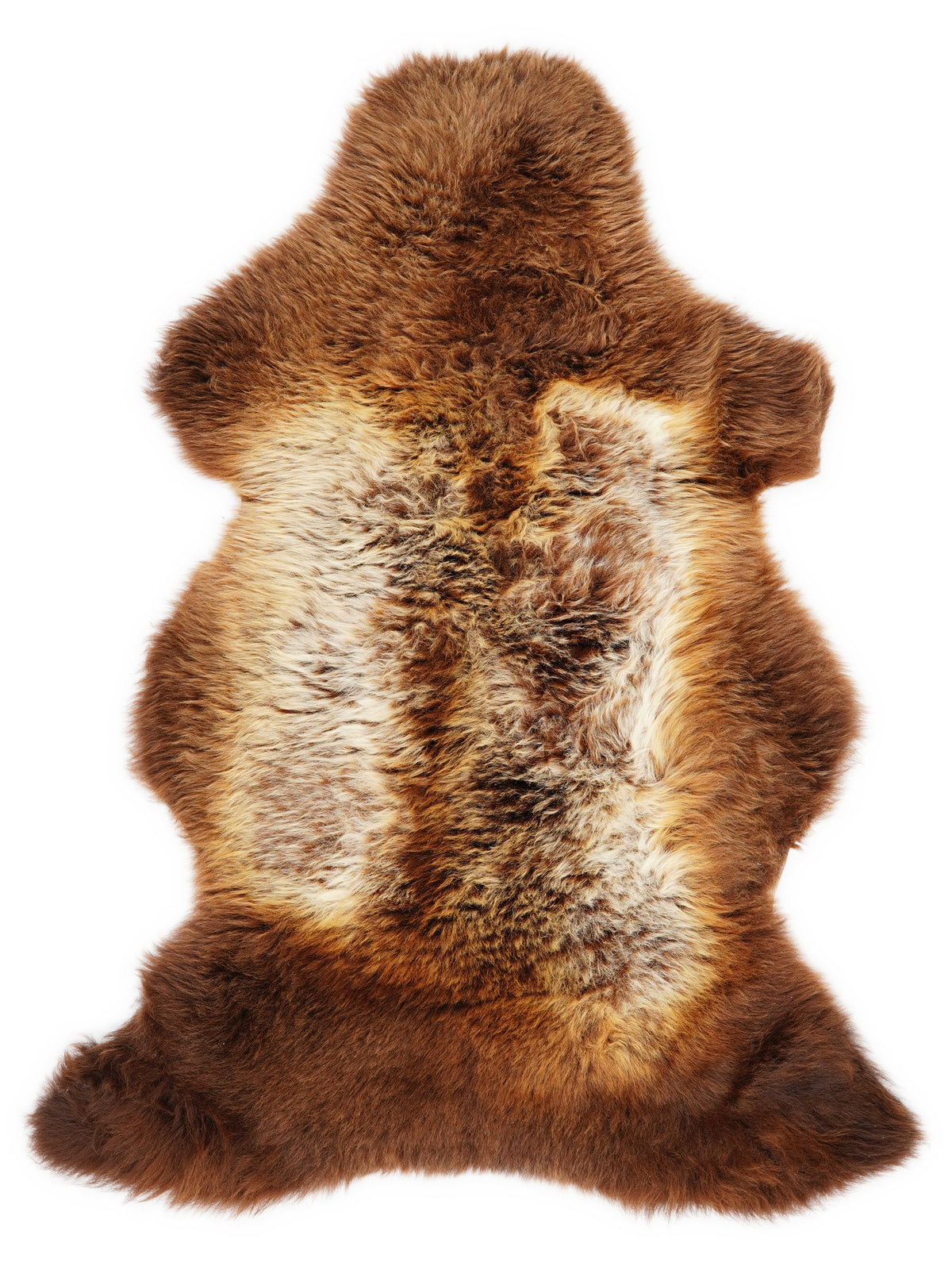 British multicolour sheepskin rug of about 110 × 65 cm, seen from above: the exact sheepskin you receive
