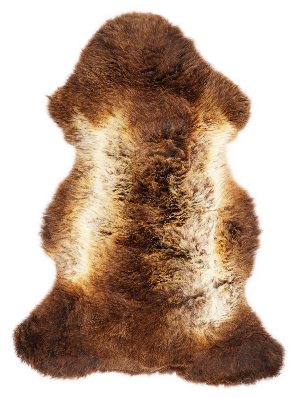 British multicolour sheepskin rug of about 115 × 65 cm, seen from above: the exact sheepskin you receive