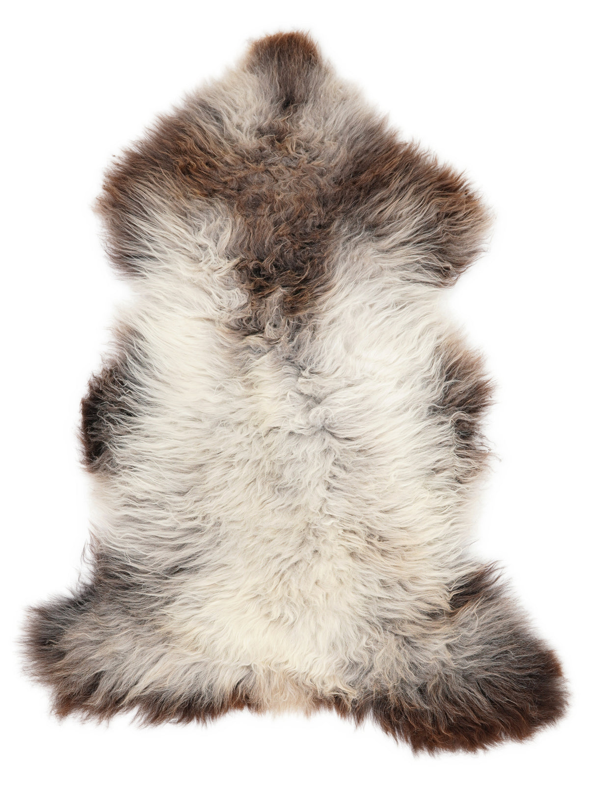 British multicolour sheepskin rug of about 130 × 70 cm, seen from above: the exact sheepskin you receive