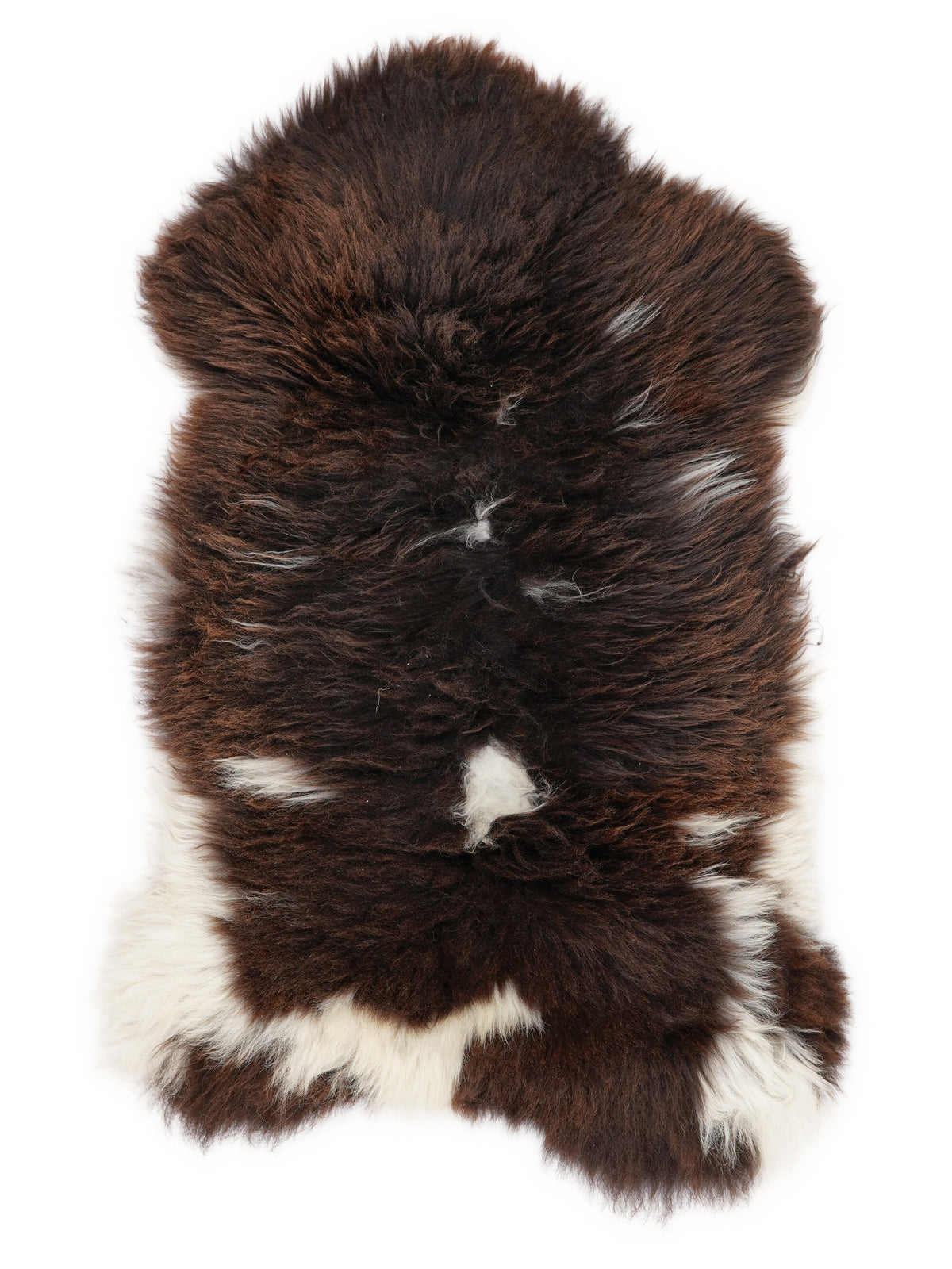 British multicolour sheepskin rug of about 110 × 60 cm, seen from above: the exact sheepskin you receive