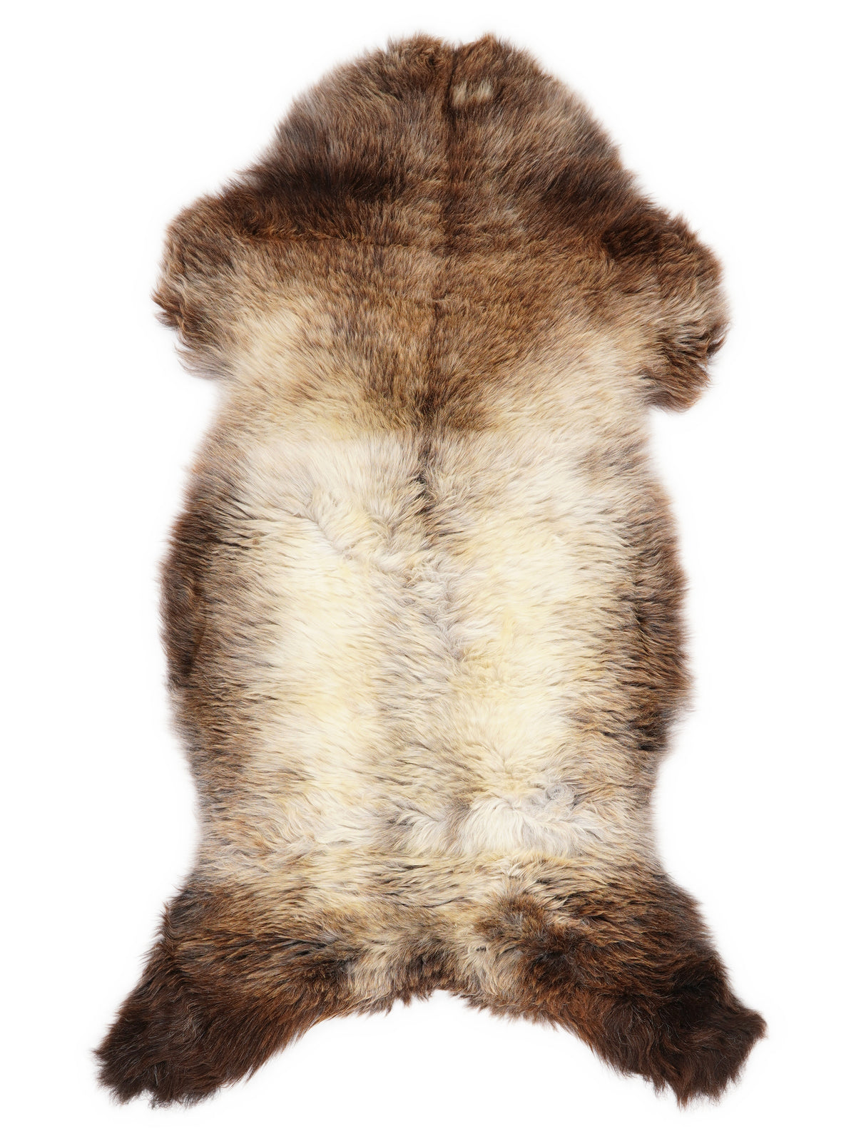 British multicolour sheepskin rug of about 110 × 50 cm, seen from above: the exact sheepskin you receive