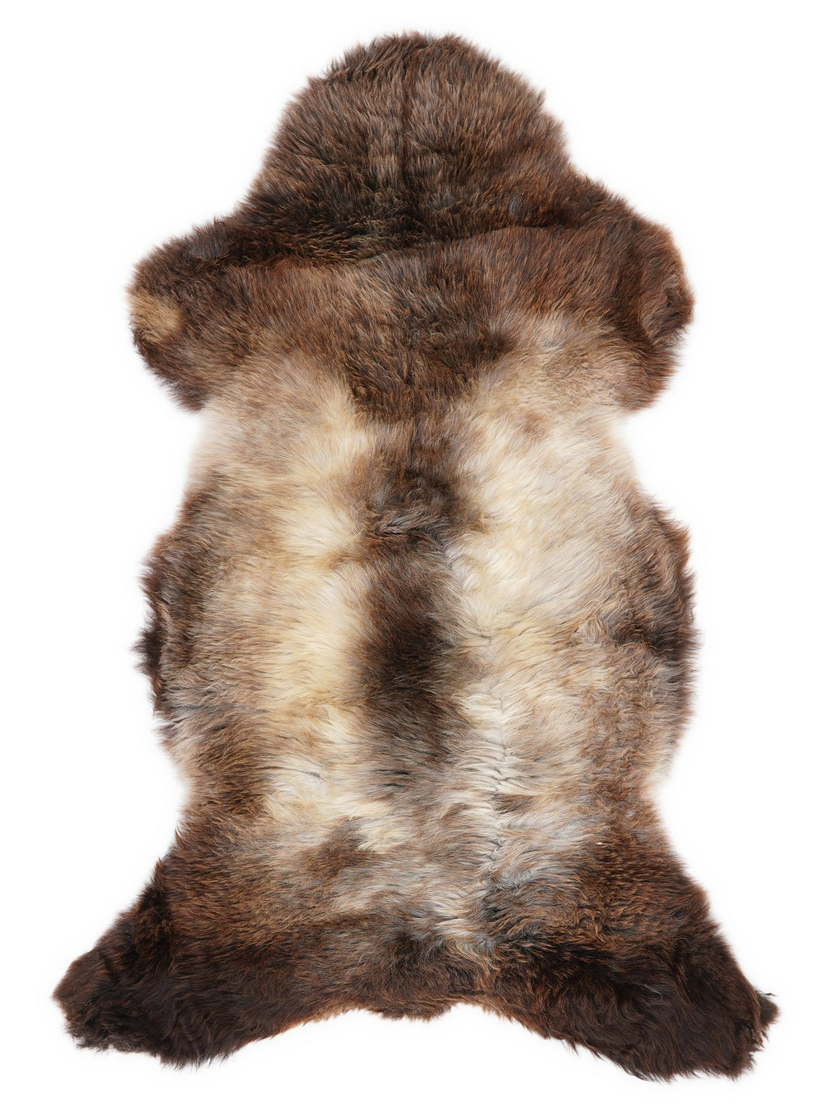 British multicolour sheepskin rug of about 120 × 60 cm, seen from above: the exact sheepskin you receive