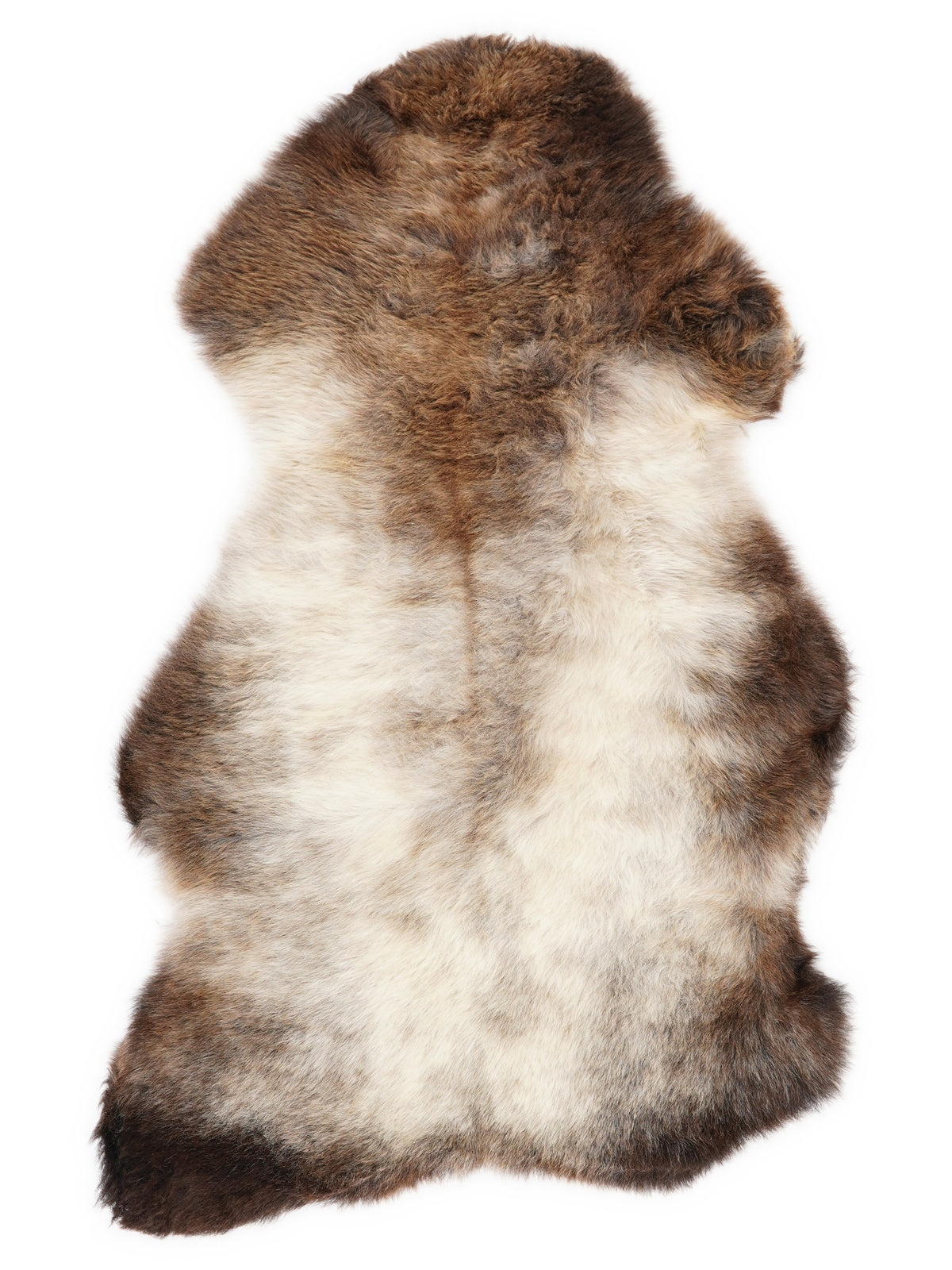 British multicolour sheepskin rug of about 100 × 60 cm, seen from above: the exact sheepskin you receive