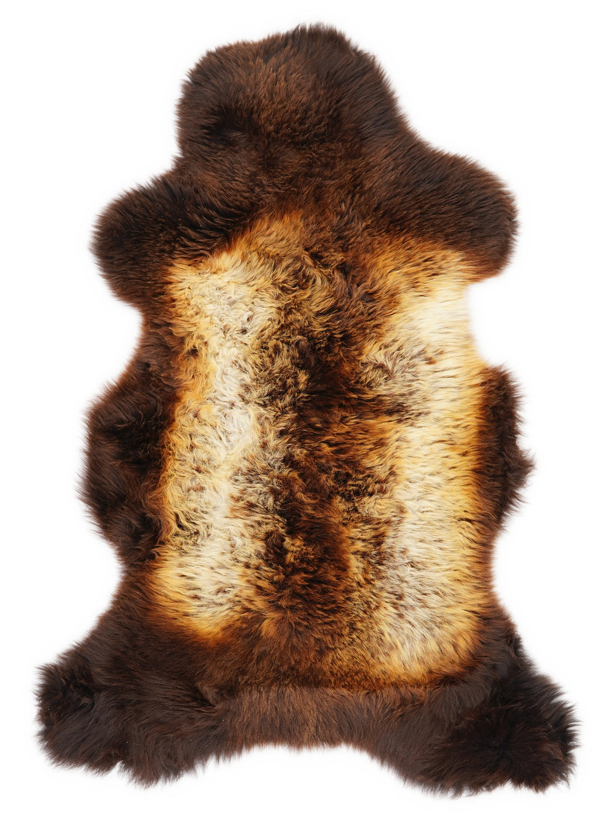 British multicolour sheepskin rug of about 110 × 60 cm, seen from above: the exact sheepskin you receive