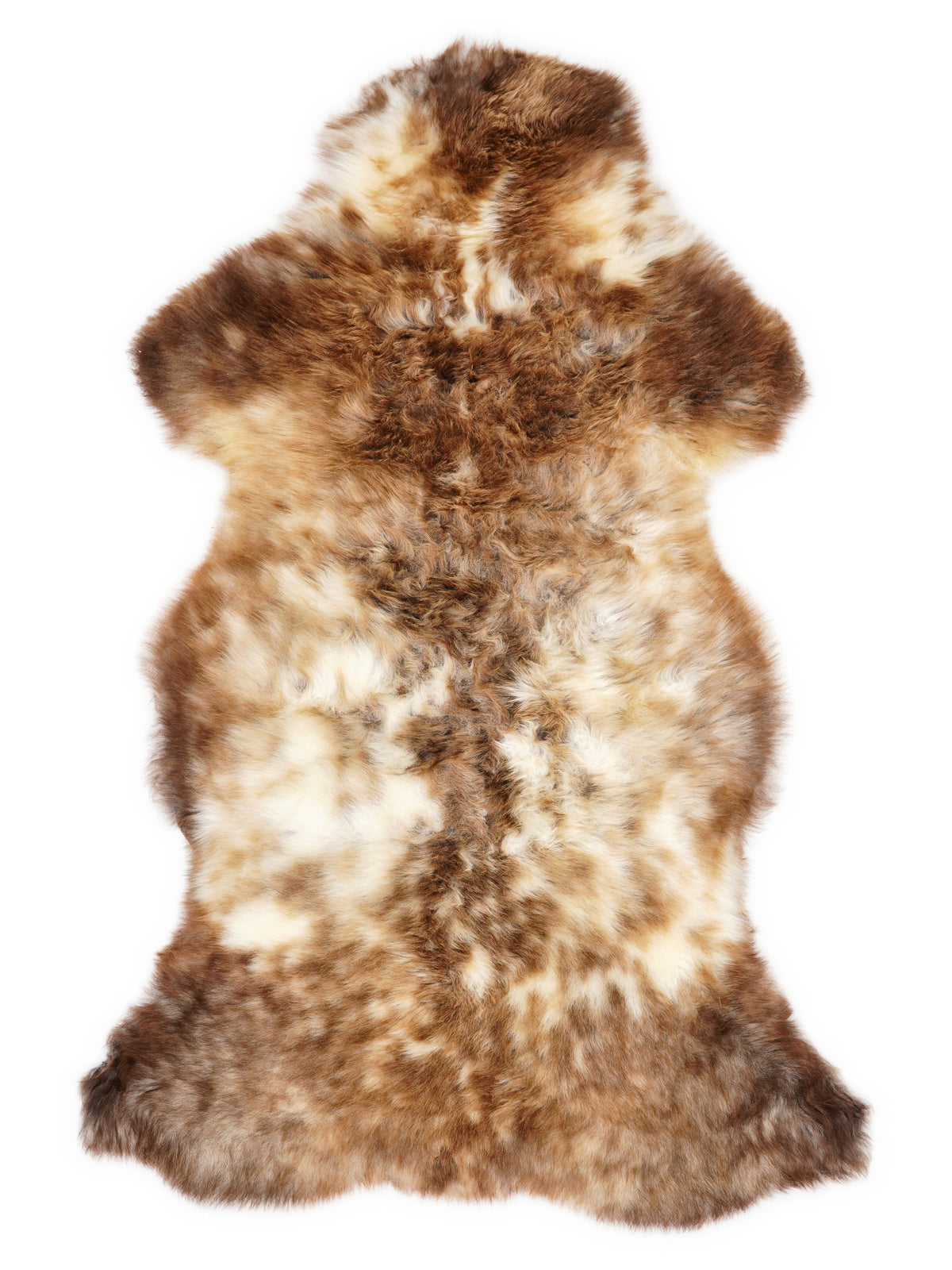 British multicolour sheepskin rug of about 115 × 60 cm, seen from above: the exact sheepskin you receive
