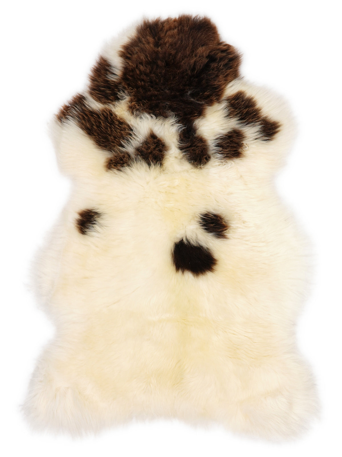 British multicolour sheepskin rug of about 110 × 65 cm, seen from above: the exact sheepskin you receive