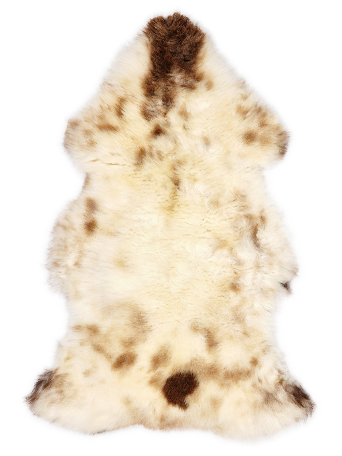 British multicolour sheepskin rug of about 120 × 70 cm, seen from above: the exact sheepskin you receive