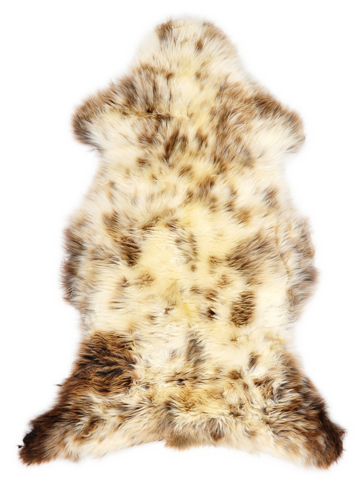 British multicolour sheepskin rug of about 110 × 60 cm, seen from above: the exact sheepskin you receive