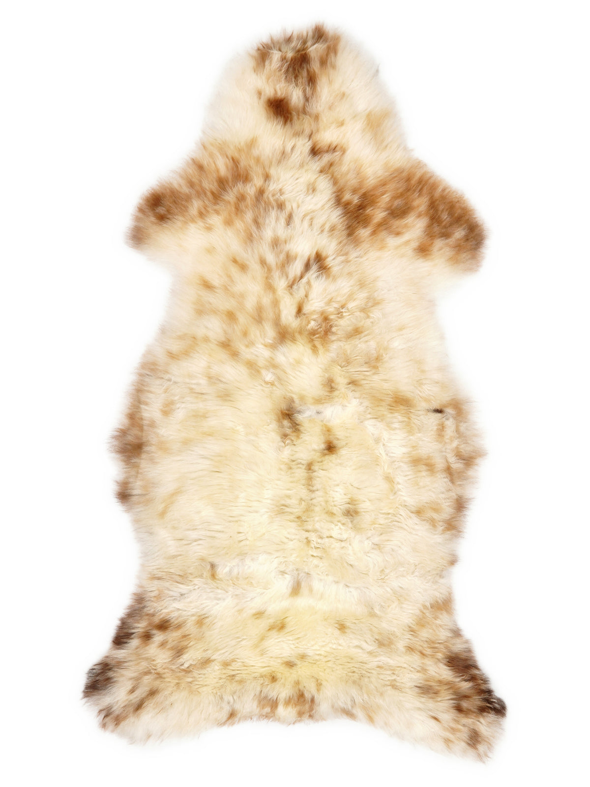British multicolour sheepskin rug of about 115 × 55 cm, seen from above: the exact sheepskin you receive