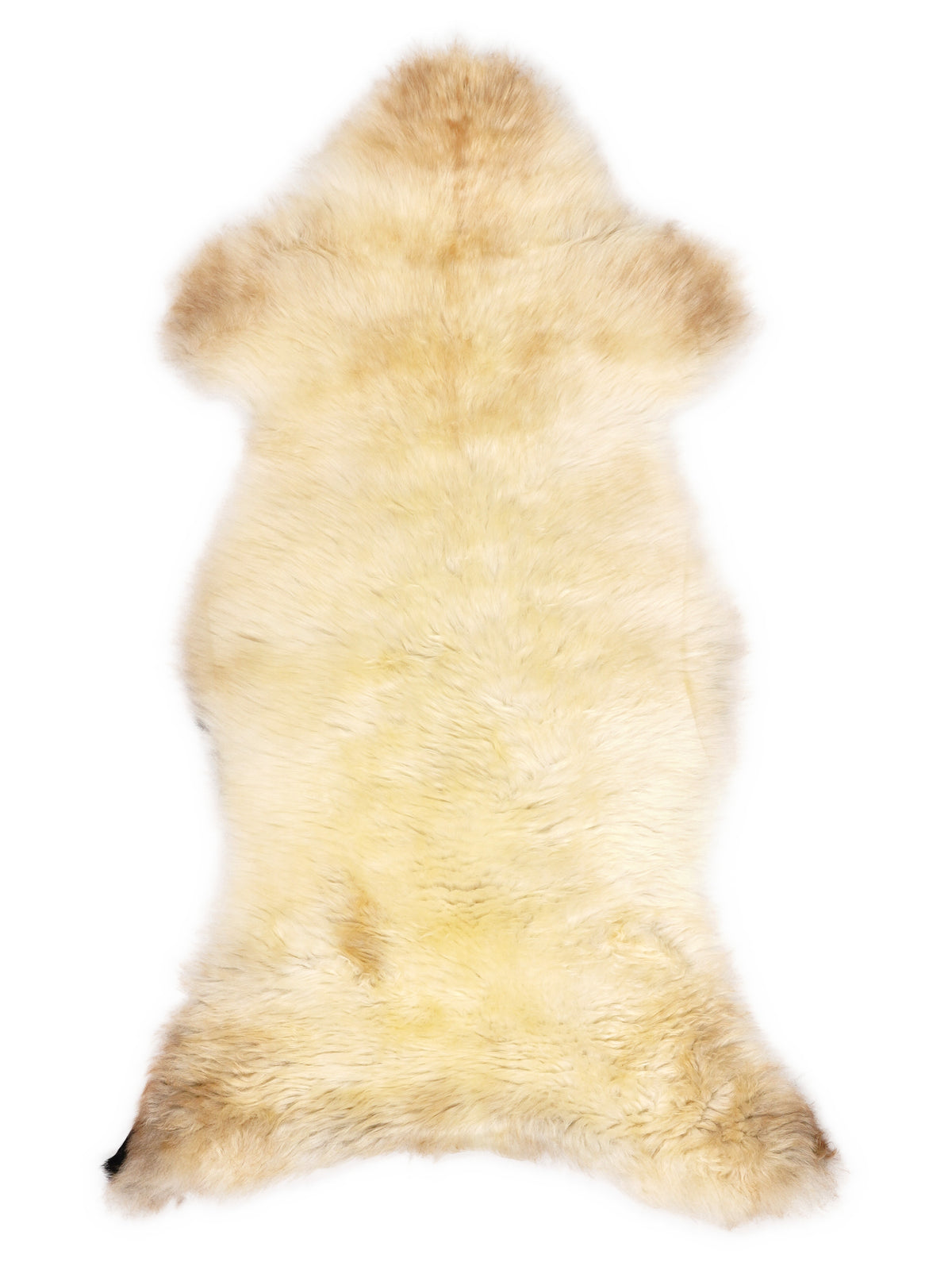 British multicolour sheepskin rug of about 110 × 50 cm, seen from above: the exact sheepskin you receive