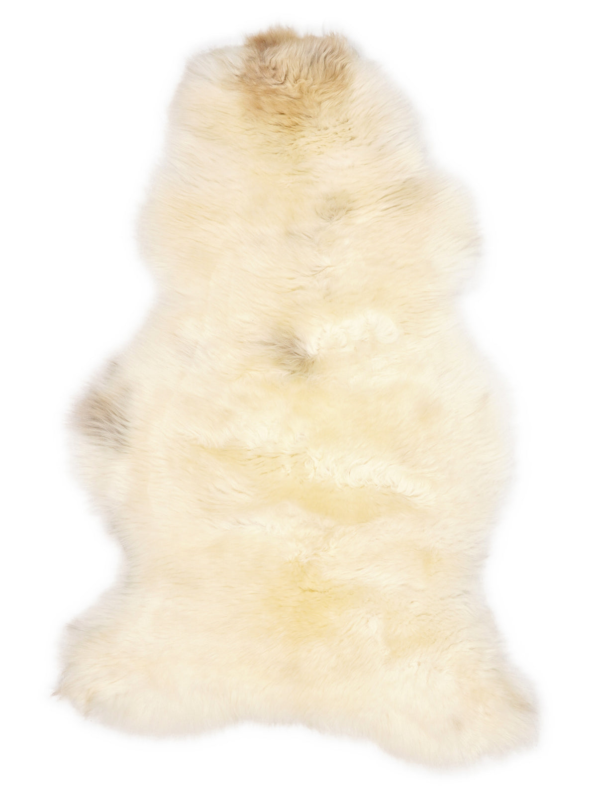 British multicolour sheepskin rug of about 110 × 60 cm, seen from above: the exact sheepskin you receive