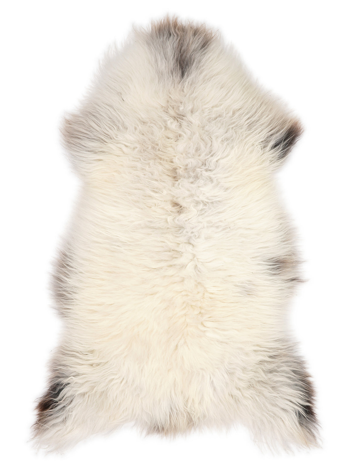 British multicolour sheepskin rug of about 130 × 60 cm, seen from above: the exact sheepskin you receive
