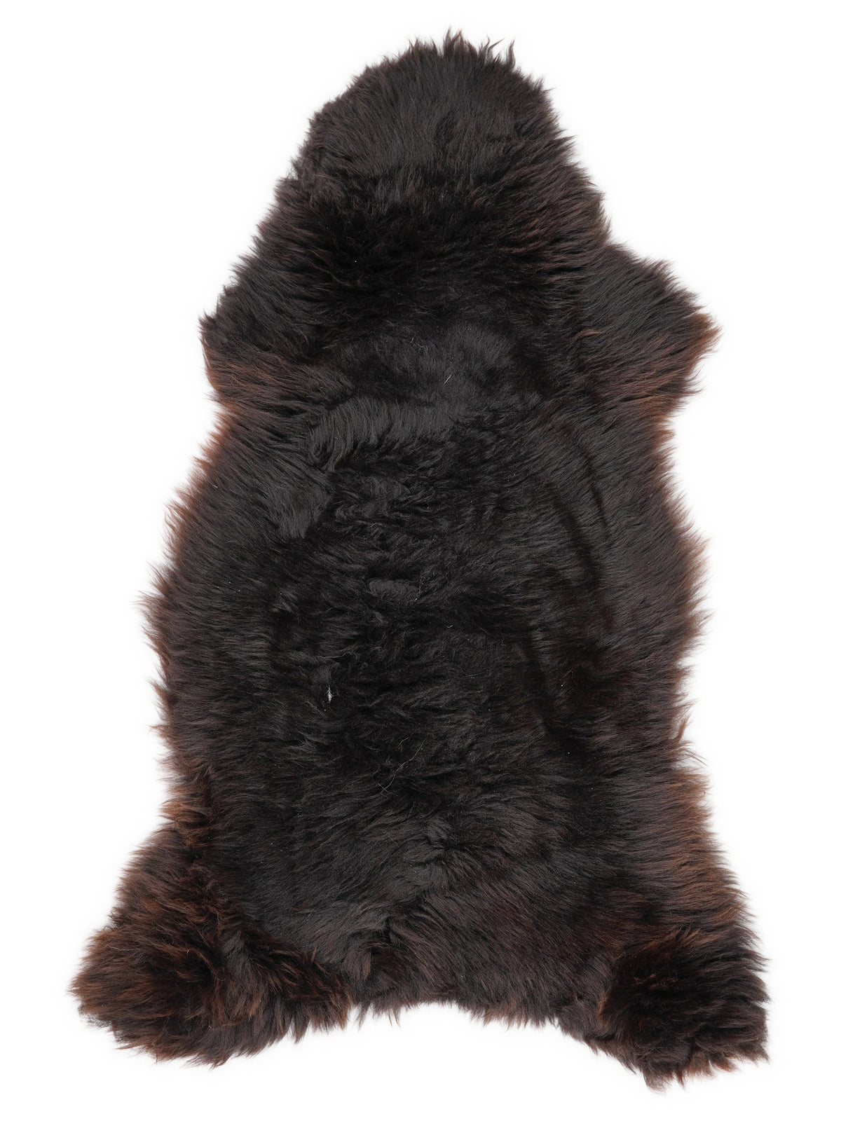 British multicolour sheepskin rug of about 115 × 55 cm, seen from above: the exact sheepskin you receive