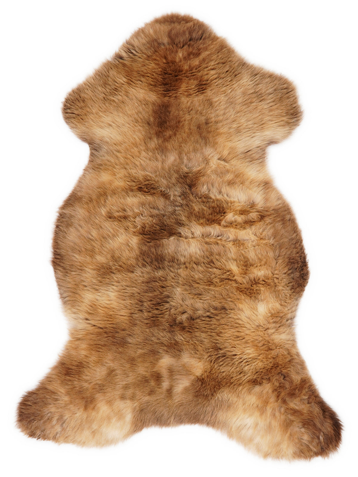 British multicolour sheepskin rug of about 105 × 55 cm, seen from above: the exact sheepskin you receive
