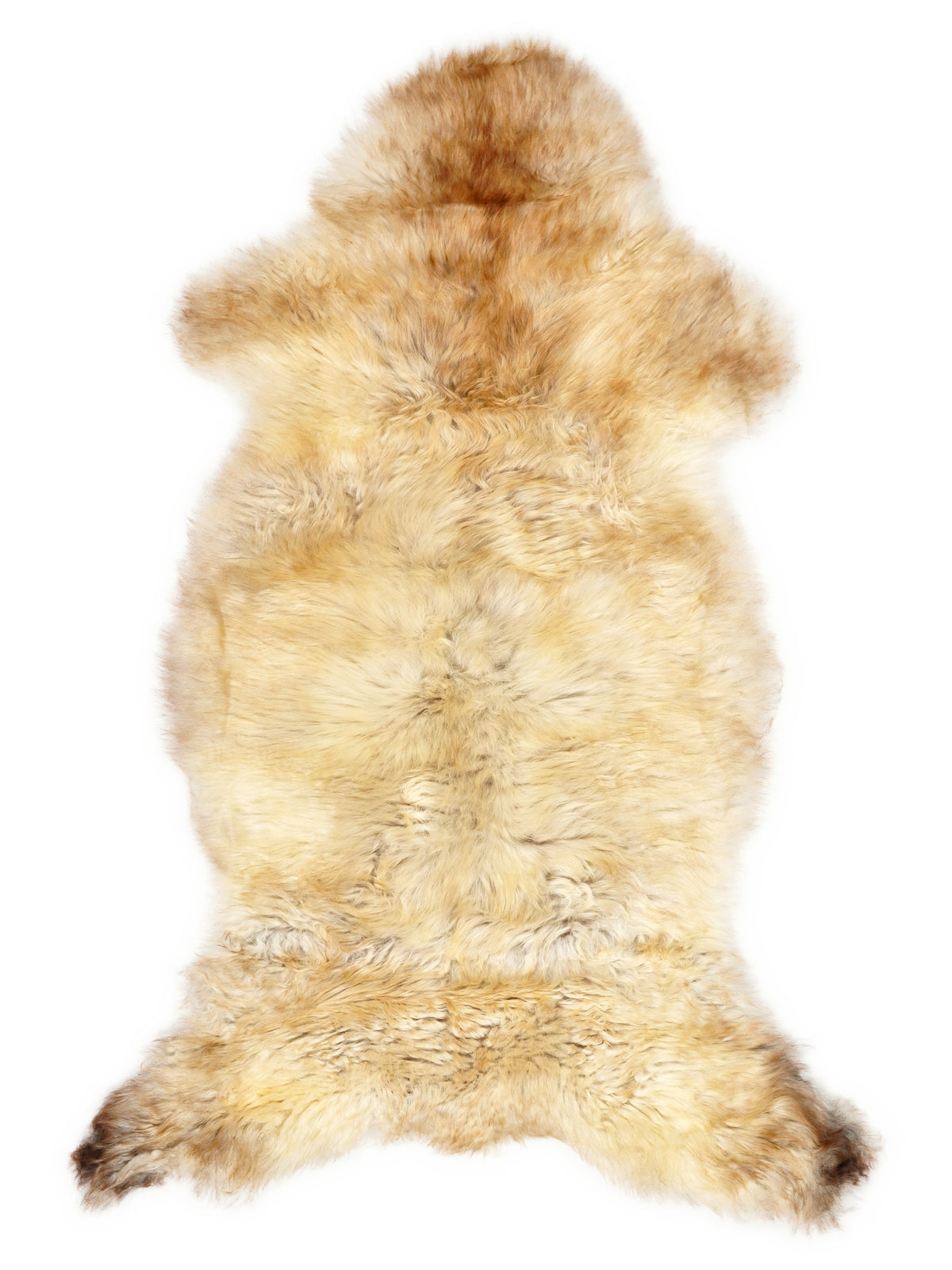 British multicolour sheepskin rug of about 120 × 60 cm, seen from above: the exact sheepskin you receive