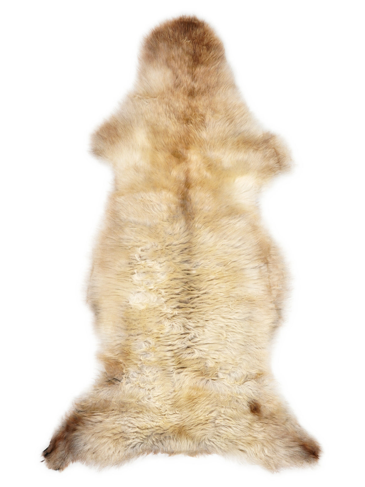 British multicolour sheepskin rug of about 130 × 55 cm, seen from above: the exact sheepskin you receive