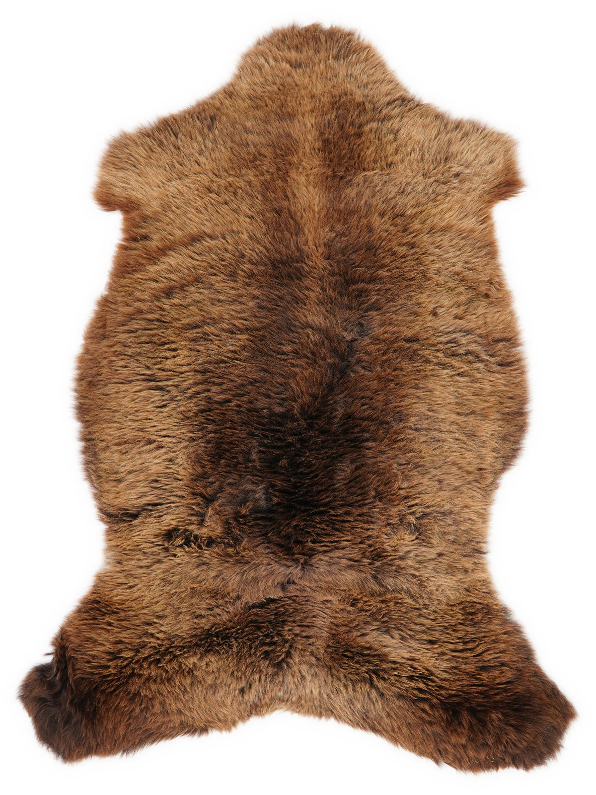 Brown sheepskin rug of about 105 × 60 cm, seen from above: the exact sheepskin you receive