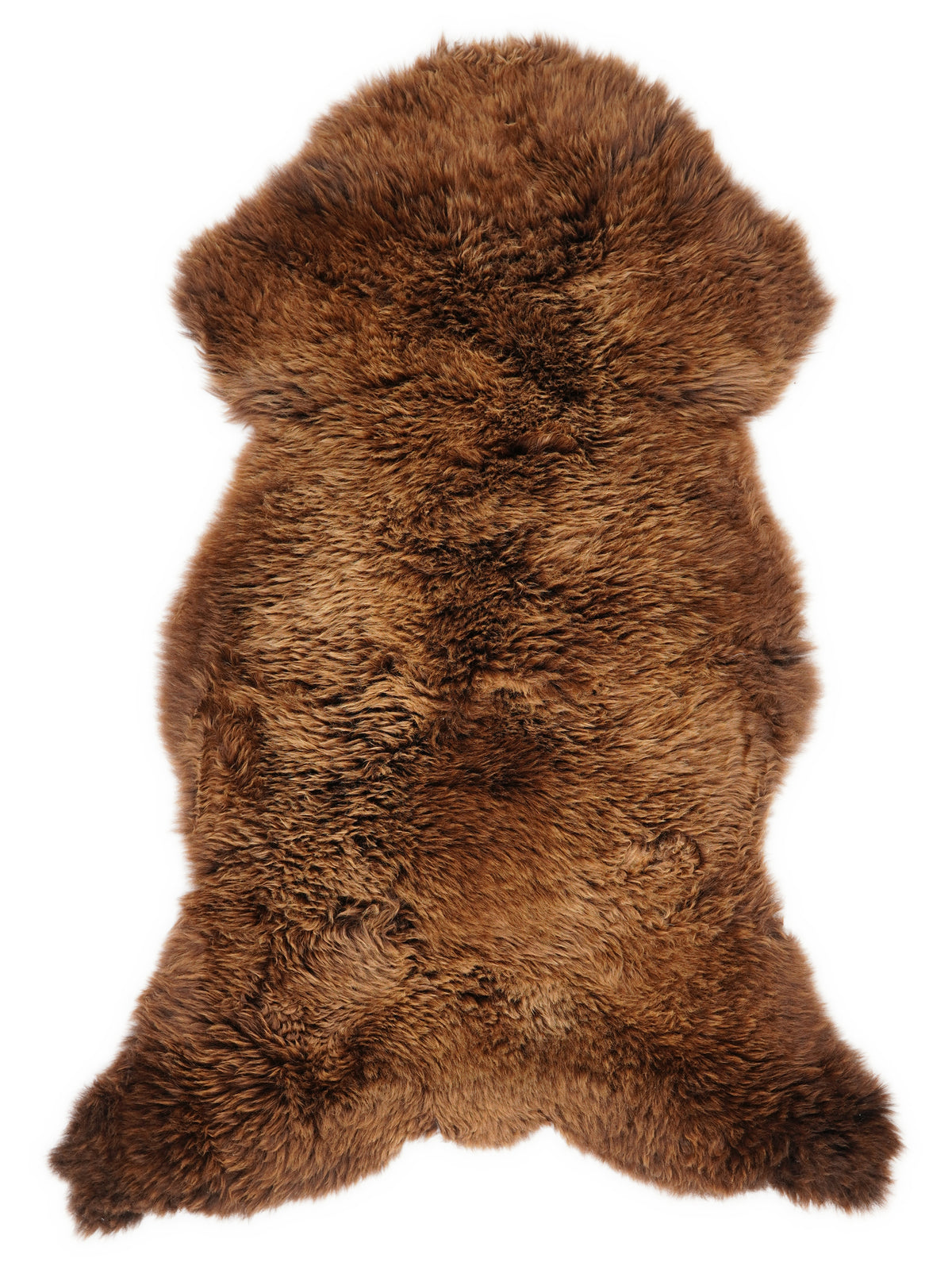Brown sheepskin rug of about 125 × 65 cm, seen from above: the exact sheepskin you receive