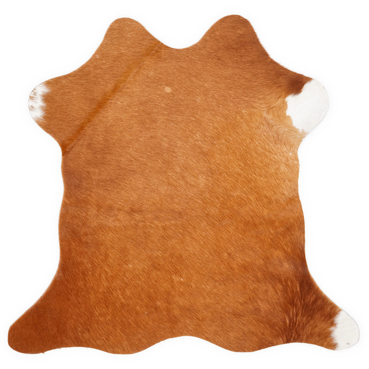 Mini cowhide of about 70 × 70 cm, seen from above: the exact hide you receive