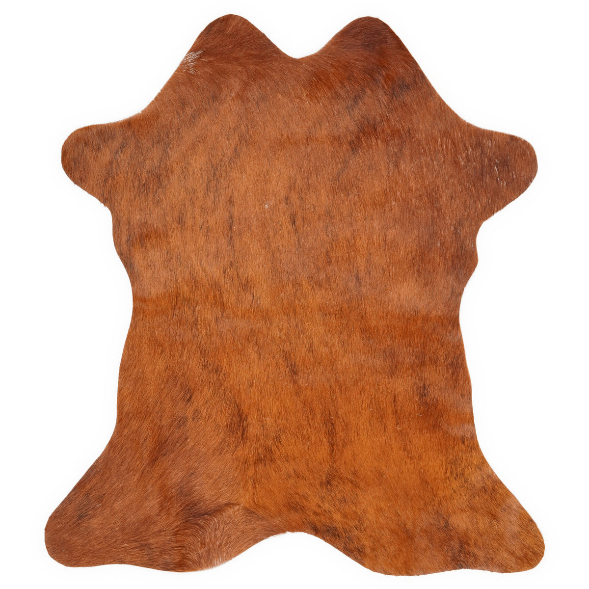Mini cowhide of about 70 × 70 cm, seen from above: the exact hide you receive
